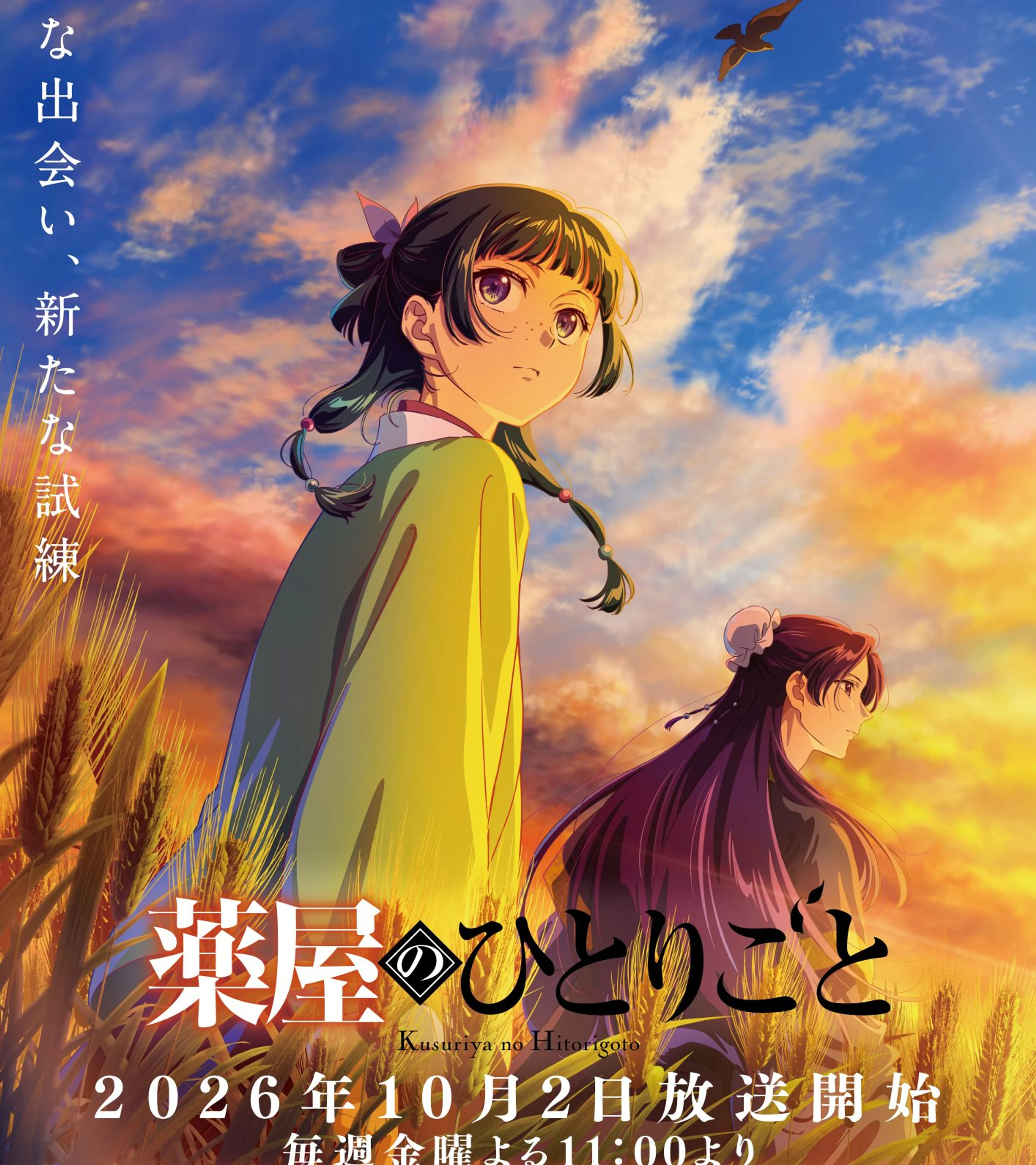 Official poster shows Maomao and Jinshi in a golden field at sunset, with Japanese release text.