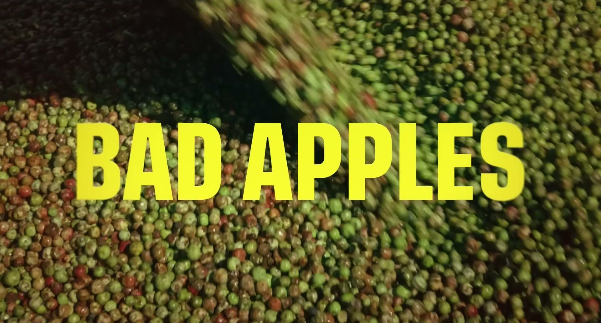 The words Bad Apples appear over a close view of colorful apples.