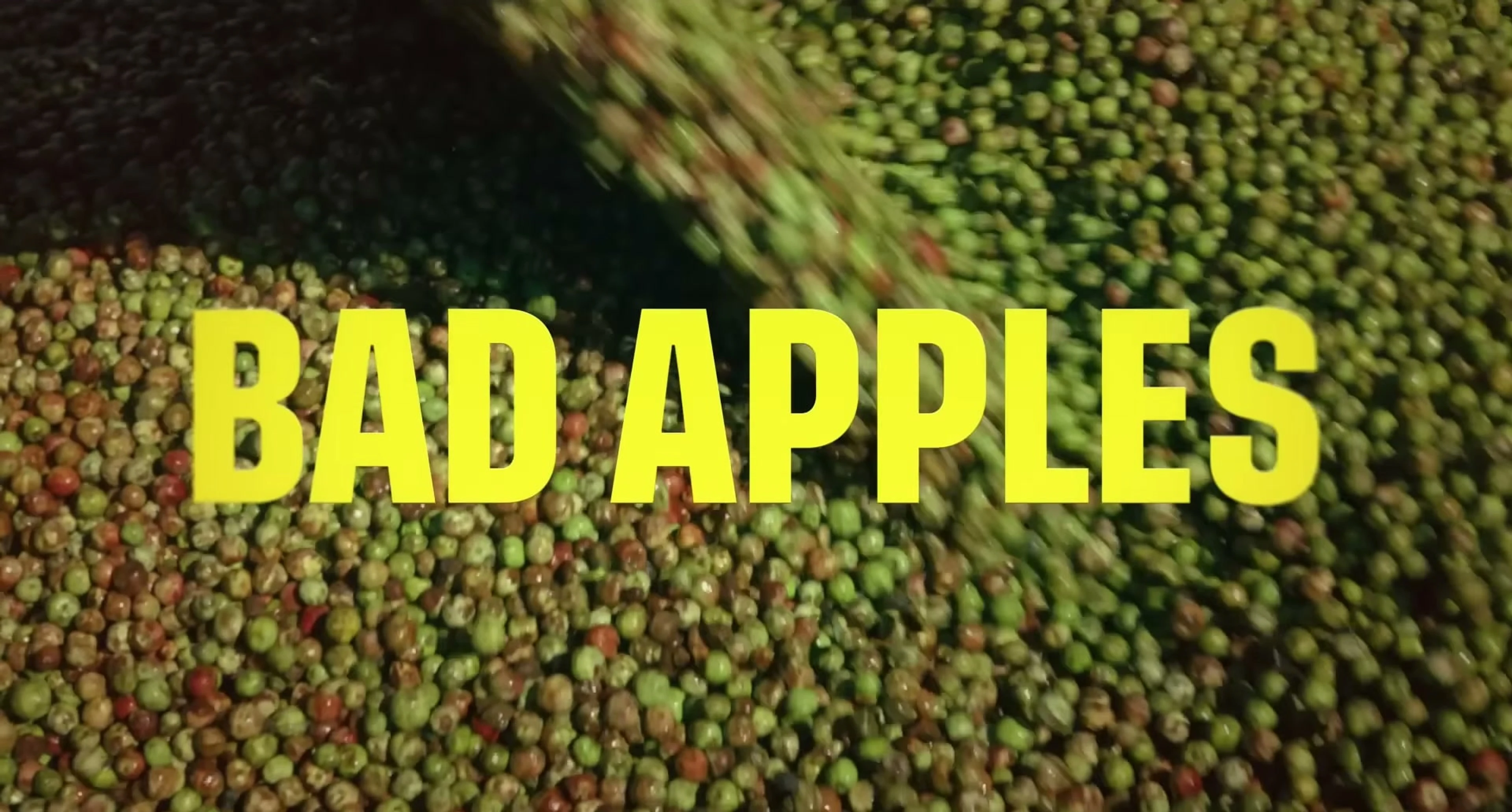 The words Bad Apples appear over a close view of colorful apples.