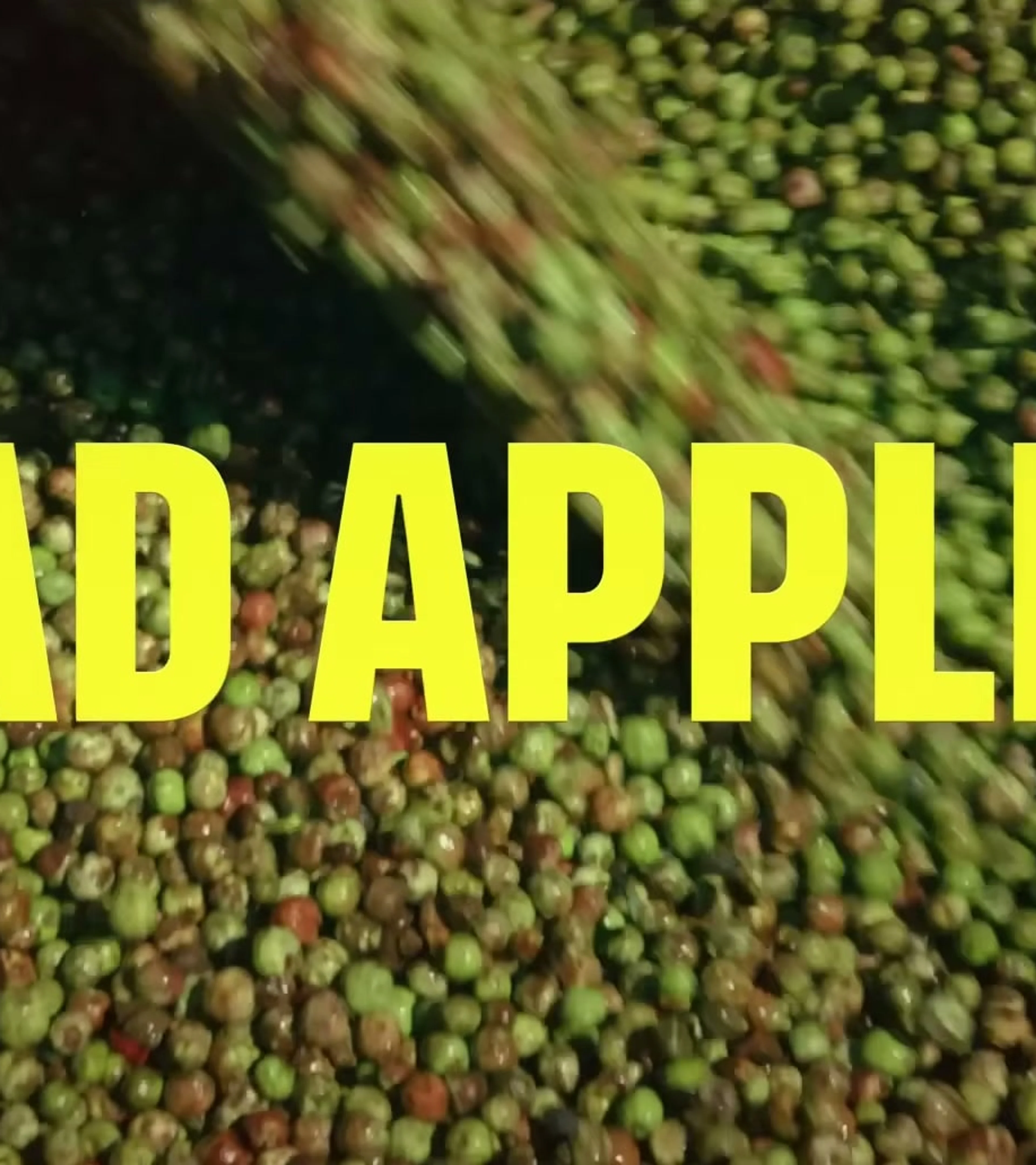 The words Bad Apples appear over a close view of colorful apples.
