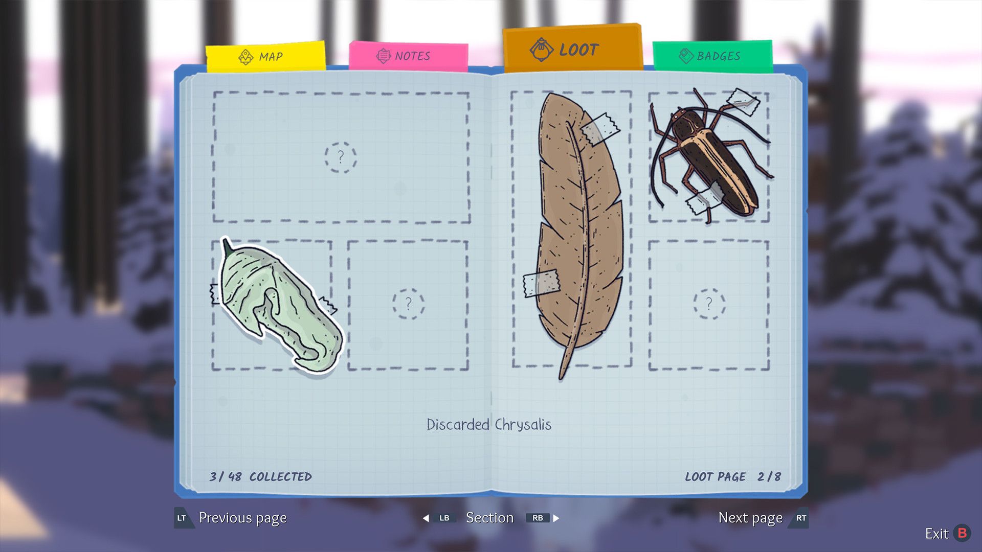 Tove's journal shows drawings of collected objects in Röki.