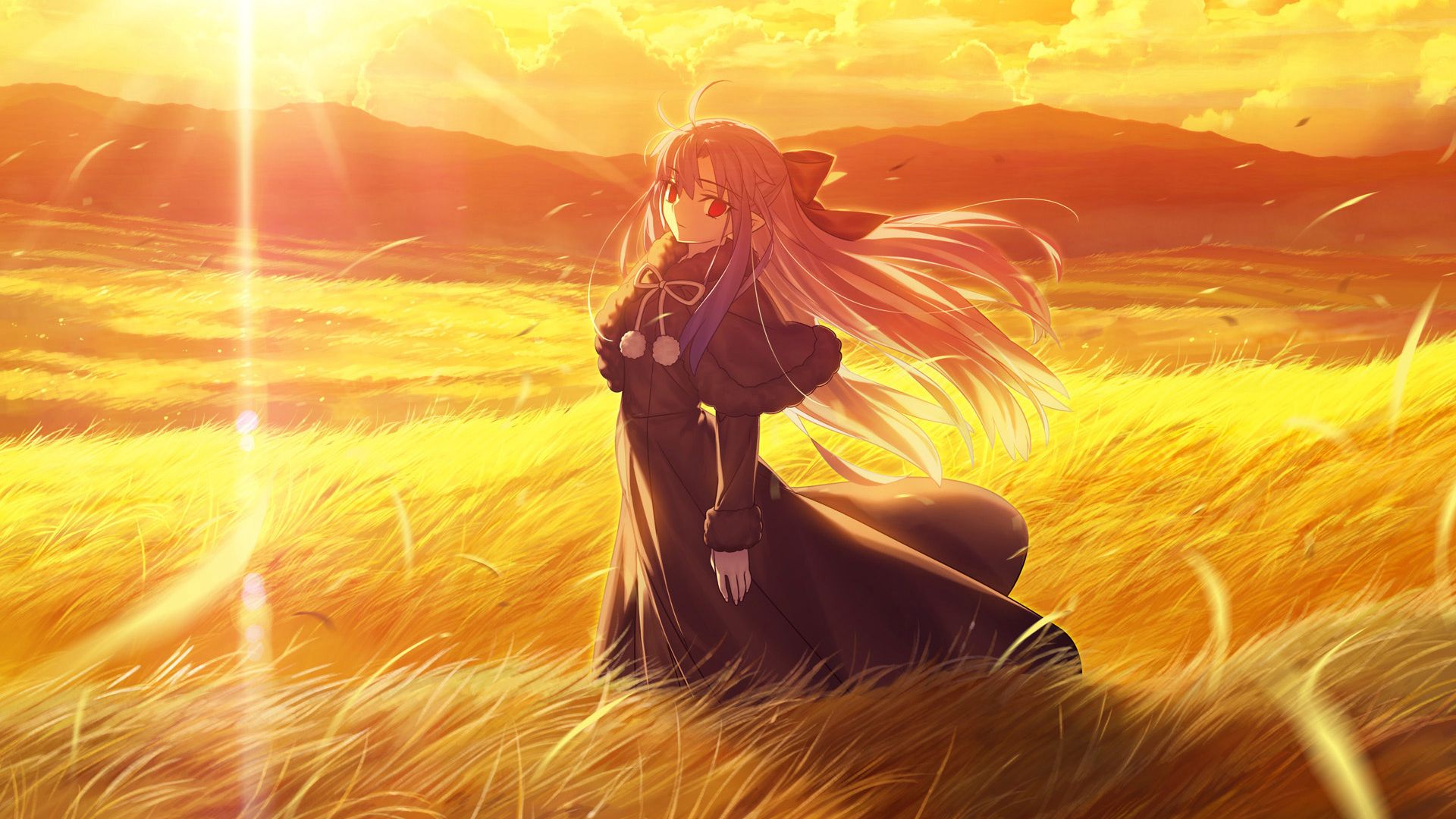 Len stands in a bright golden field beneath an orange sunset sky.