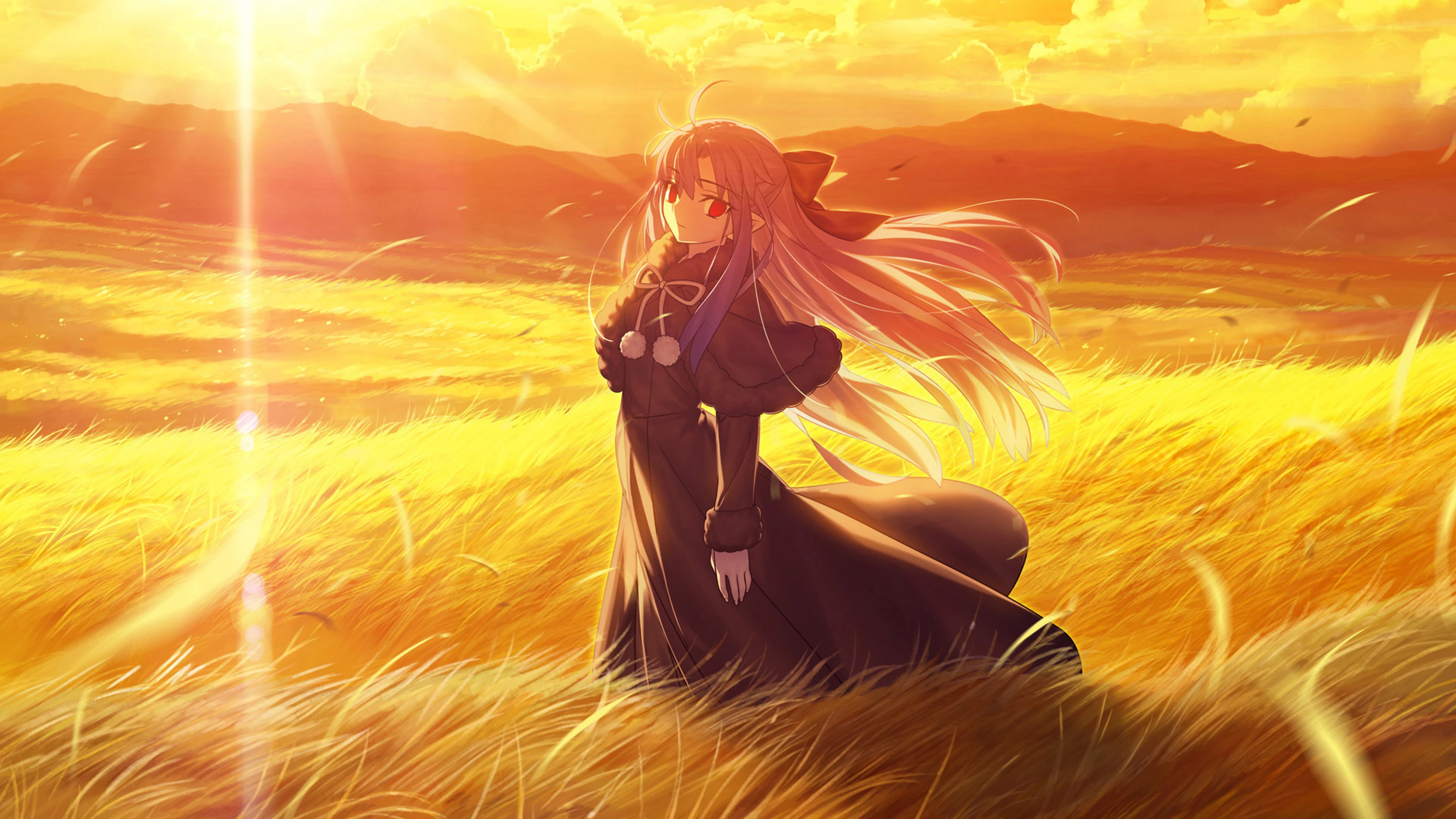 Len stands in a bright golden field beneath an orange sunset sky.