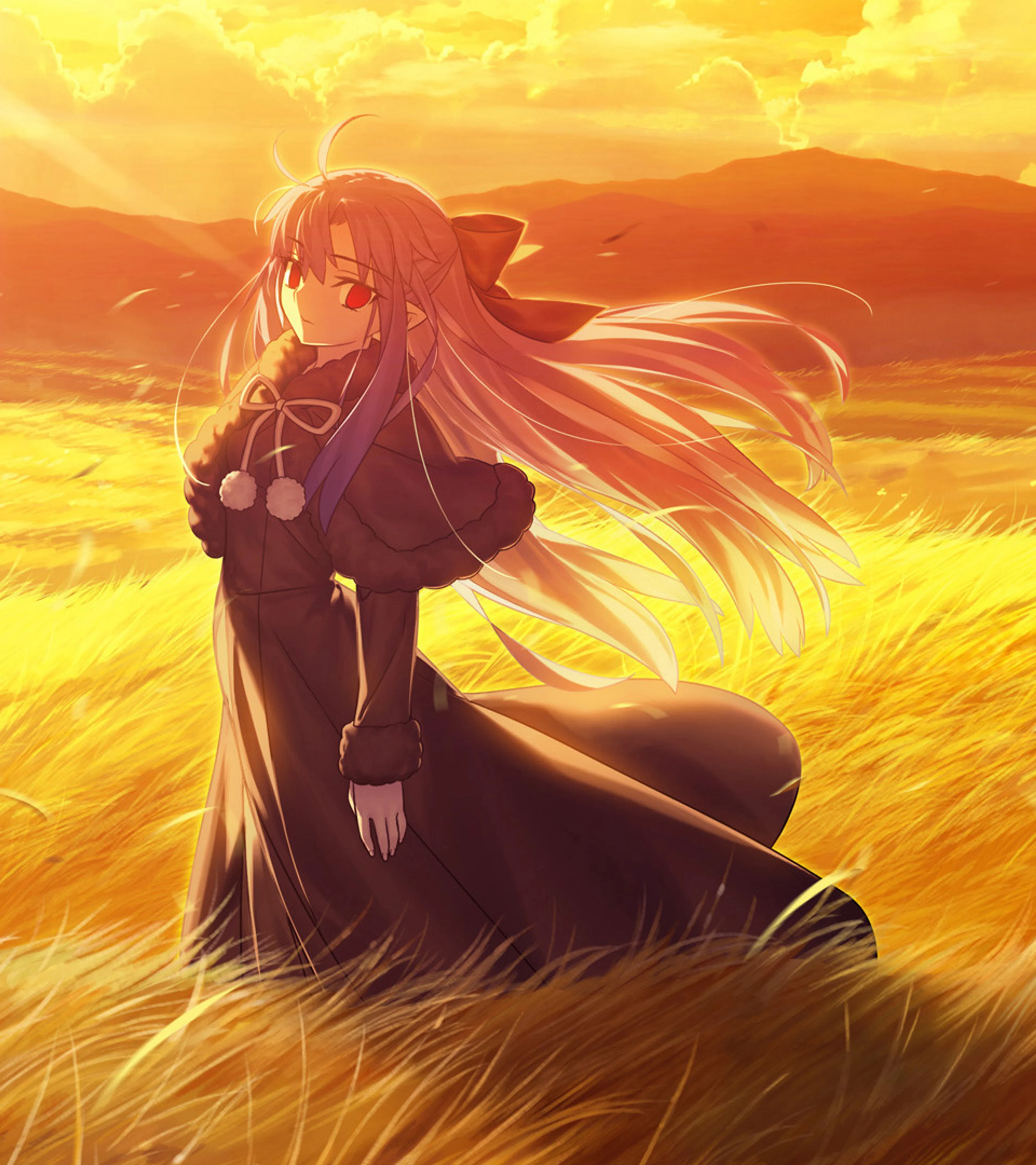 Len stands in a bright golden field beneath an orange sunset sky.