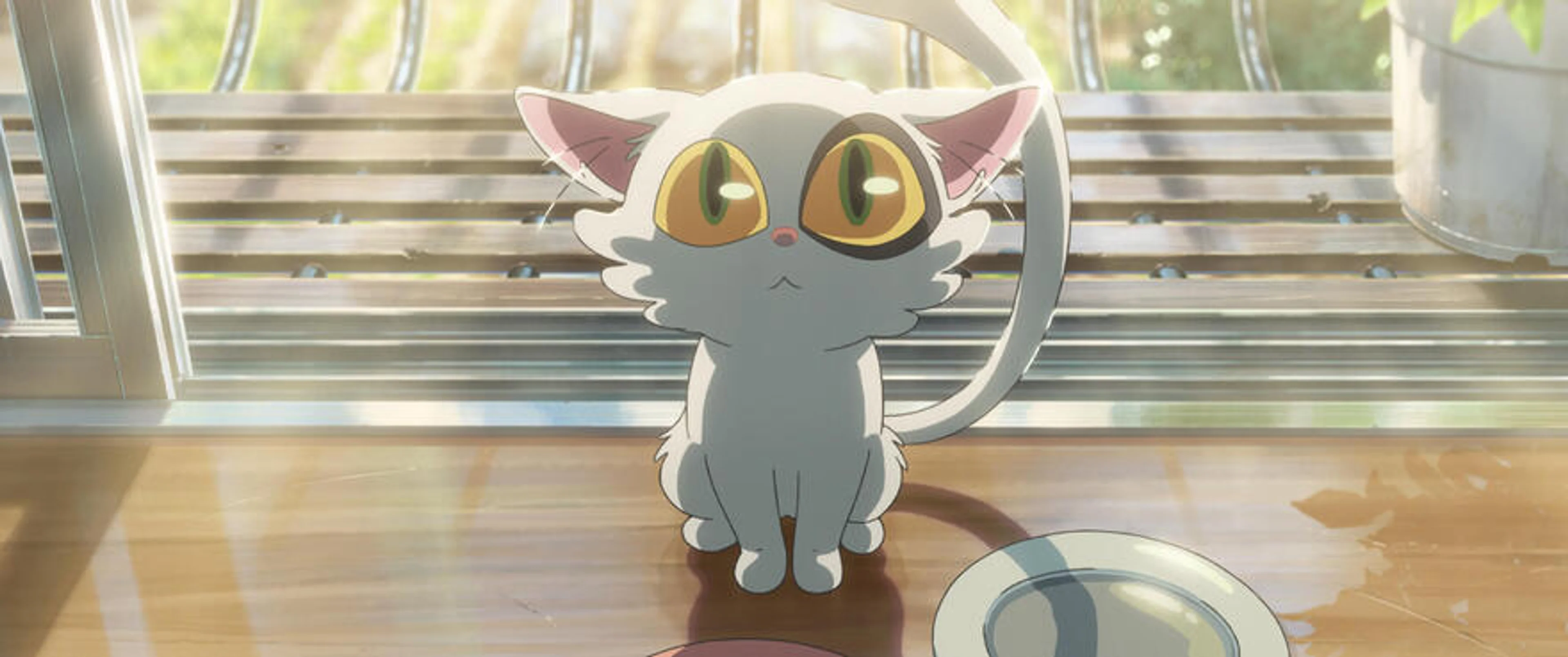 Daijin, a small white cat with large yellow-green eyes, sits beside food bowls.