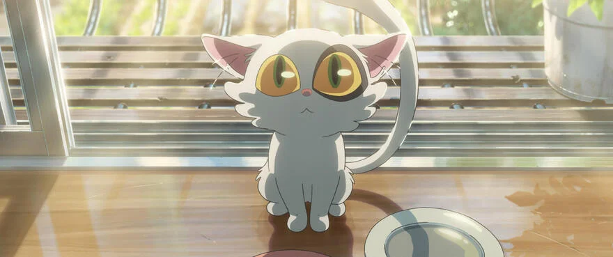 Daijin, a small white cat with large yellow-green eyes, sits beside food bowls.