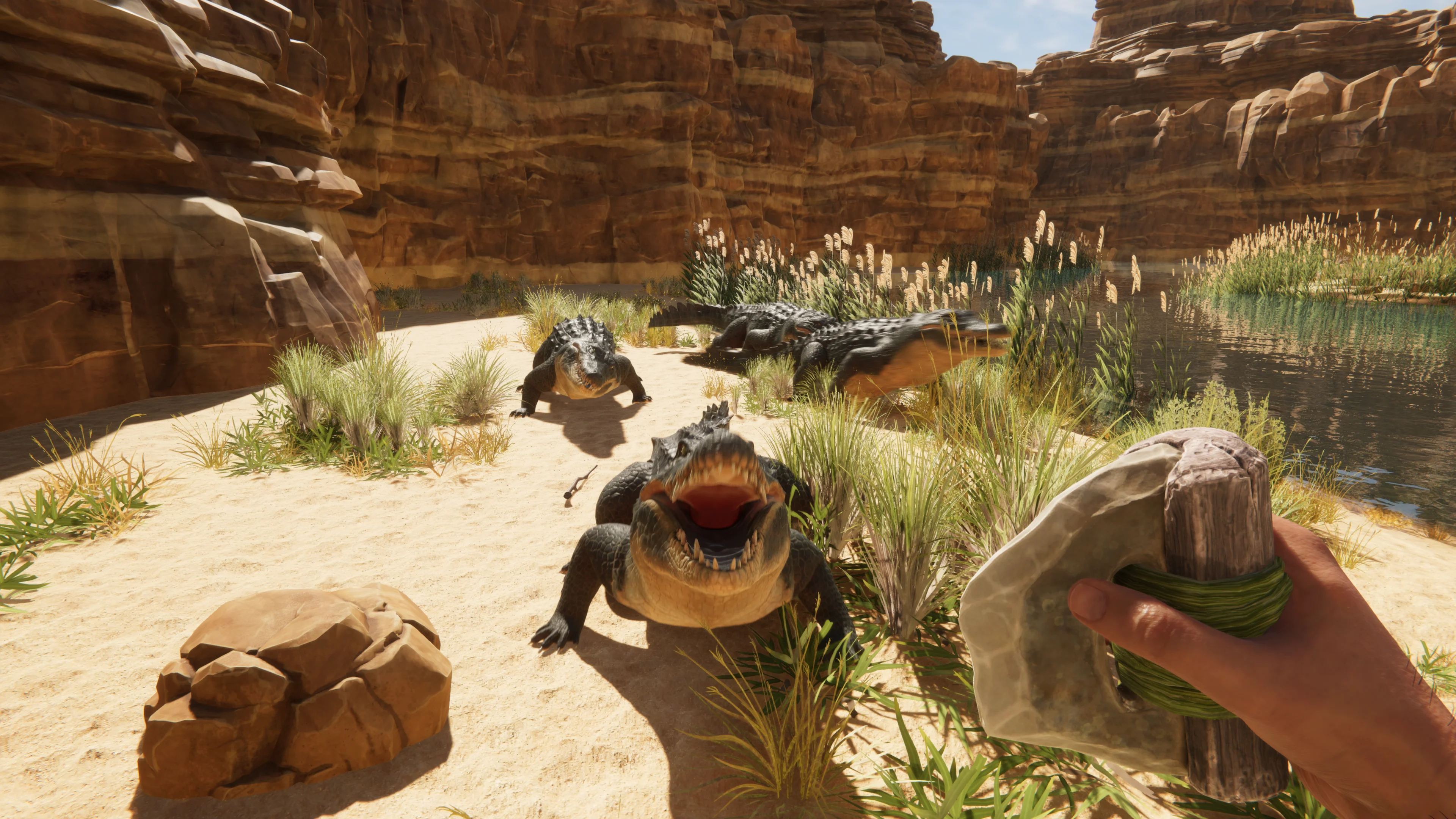 Crocodiles gather by a river in a canyon while the player holds a tool in Stranded Deep 2.