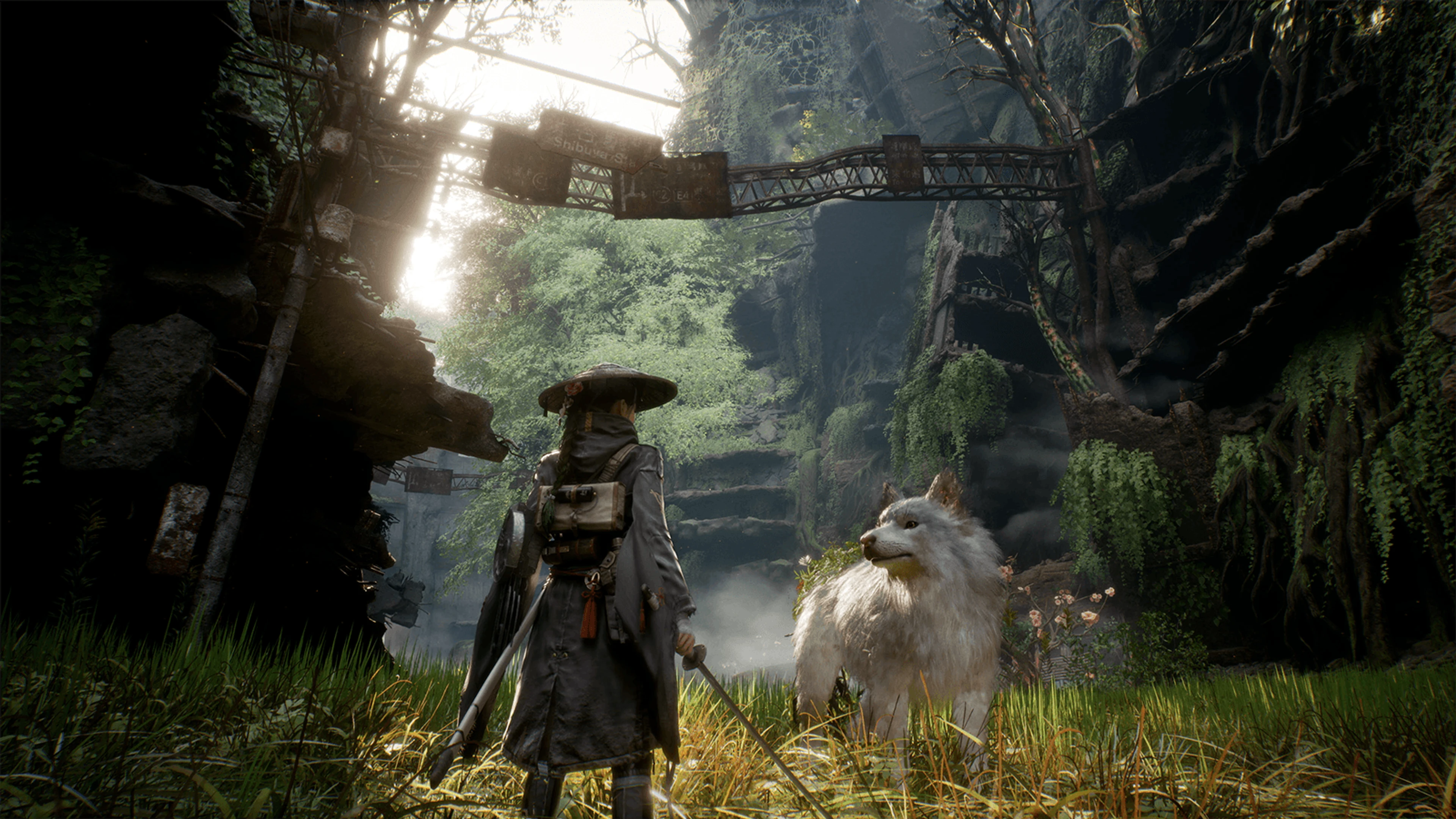 Beast of Reincarnation Beginner Guide: Combat, Hunger, and Koo Rapport
