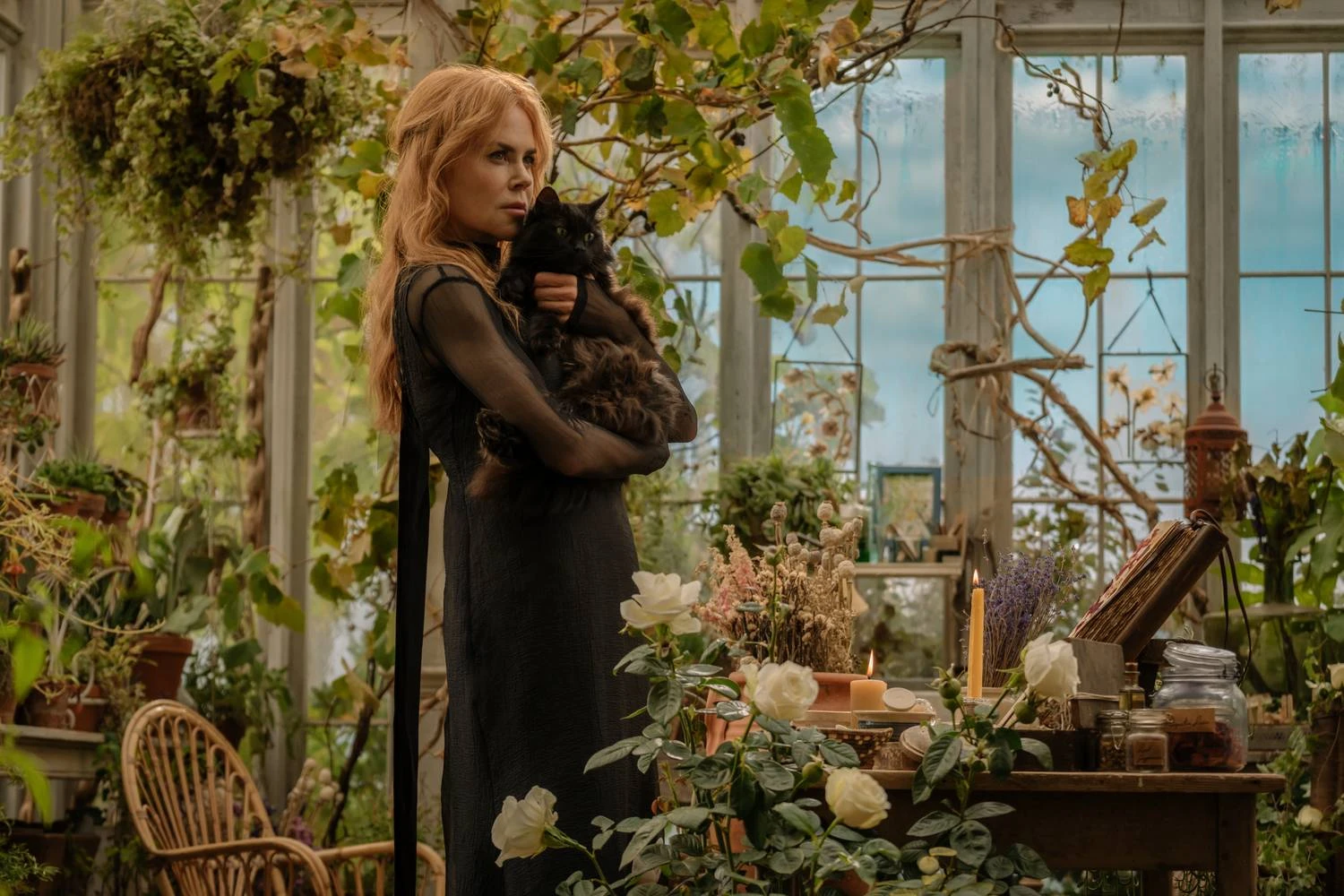 Nicole Kidman as Gillian Owens holds a black cat in a greenhouse in Practical Magic 2.