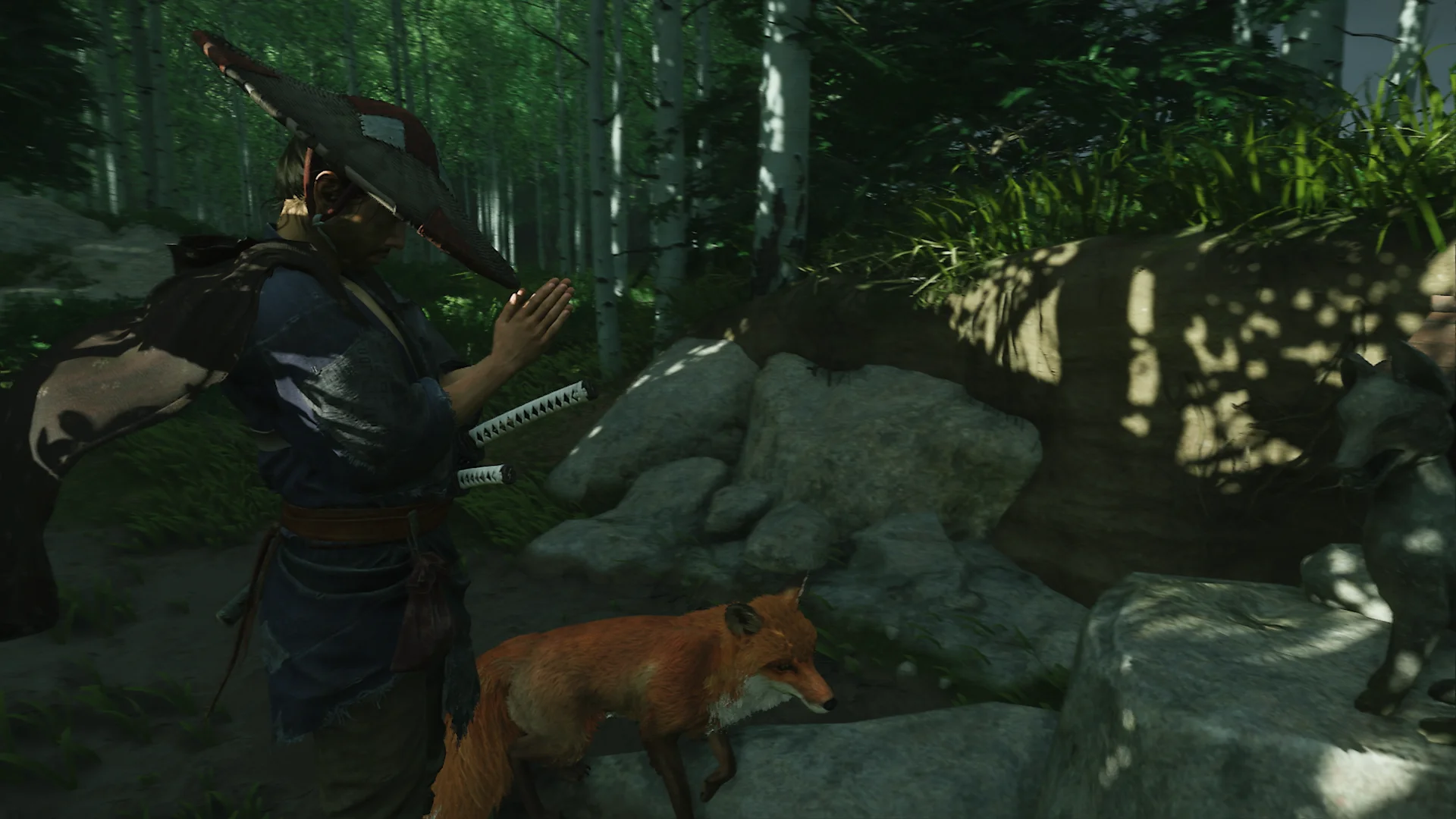 Jin stands on a wooded path behind a red fox that is visible beside the rocks ahead.
