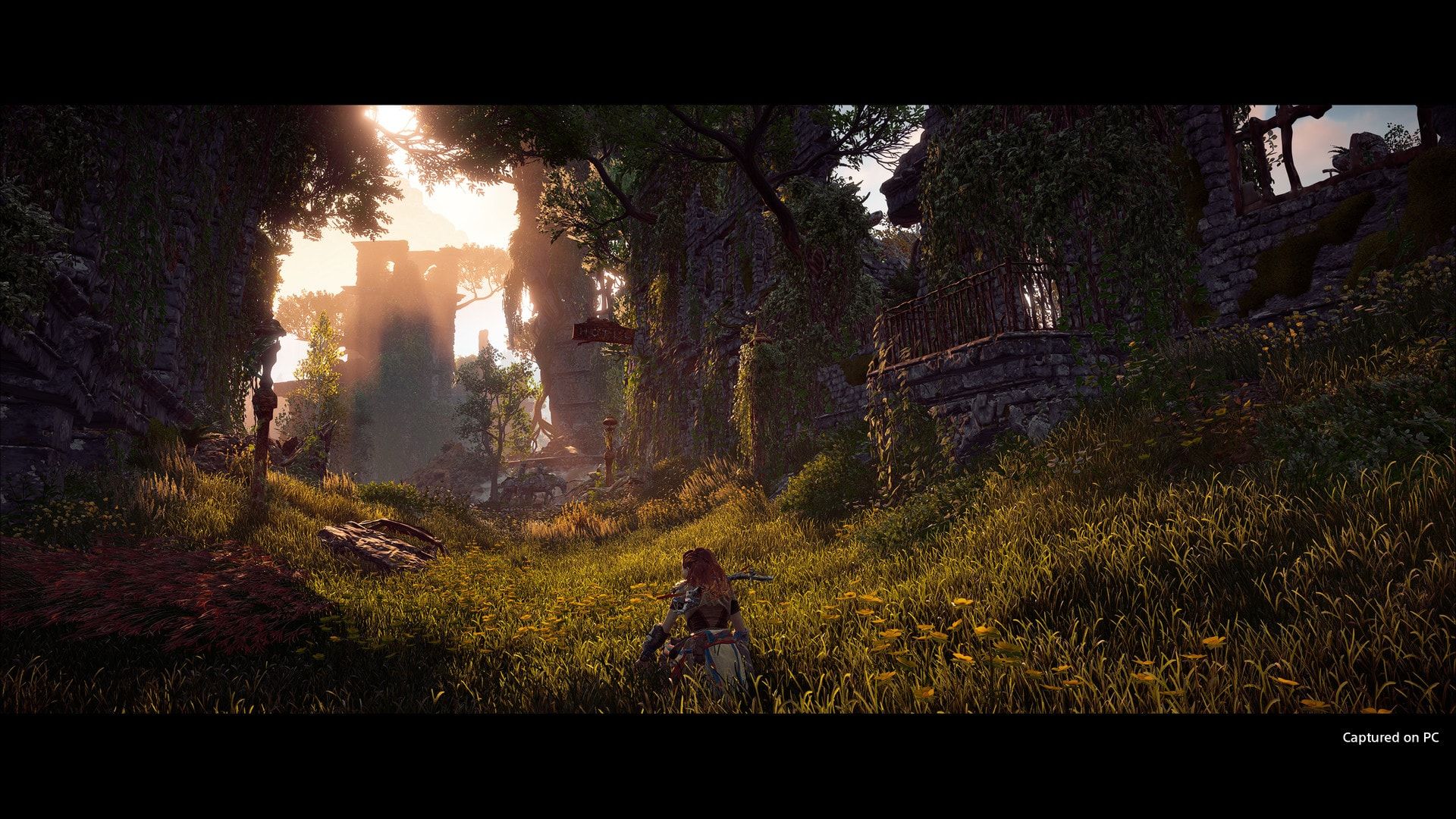 Aloy crosses a green ruin with sunlight shining through trees.