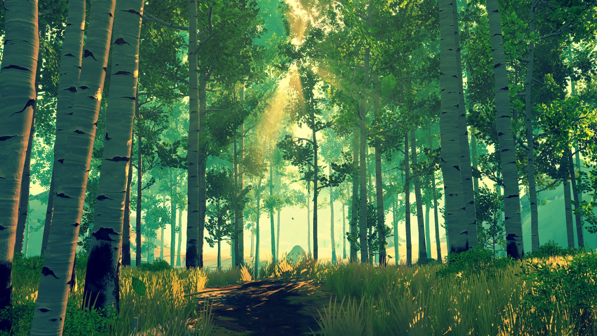 Sunlight comes through a grove of trees.