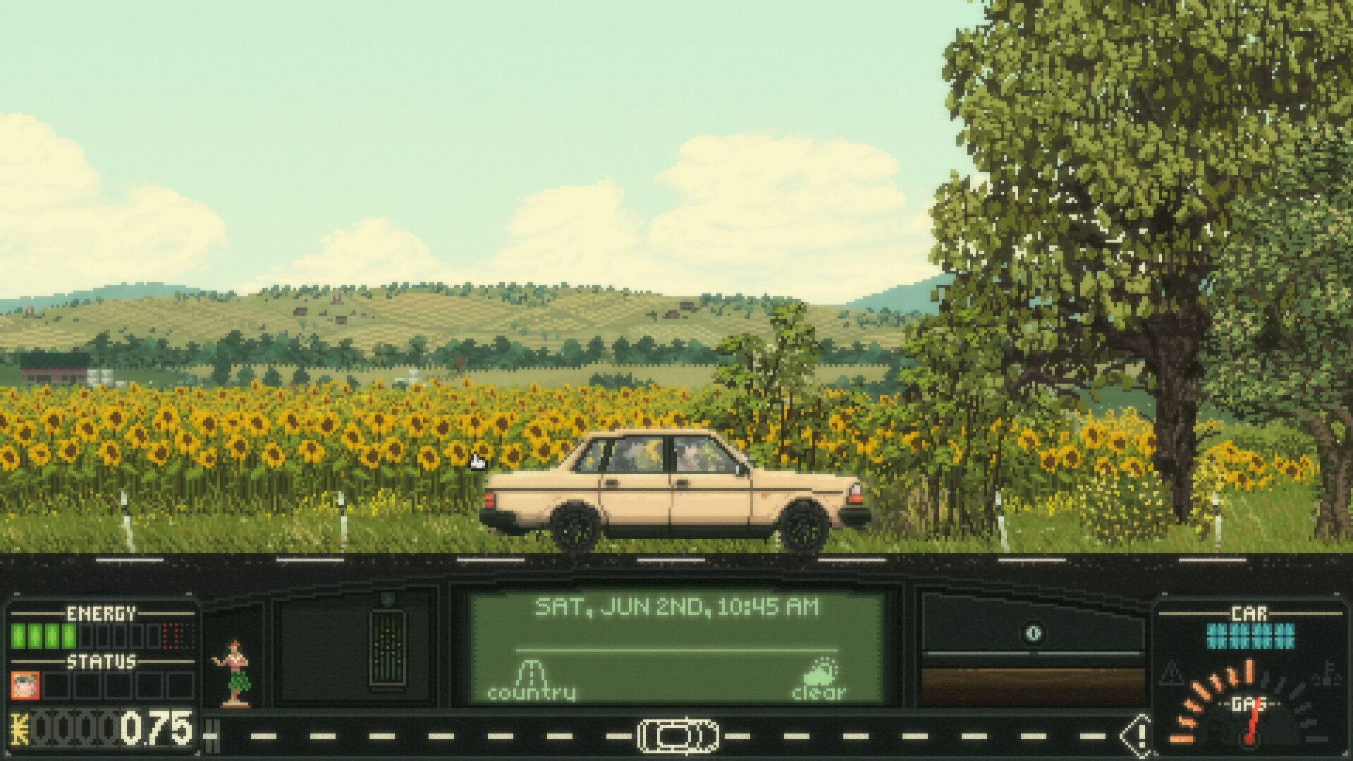 A car drives beside a sunflower field.