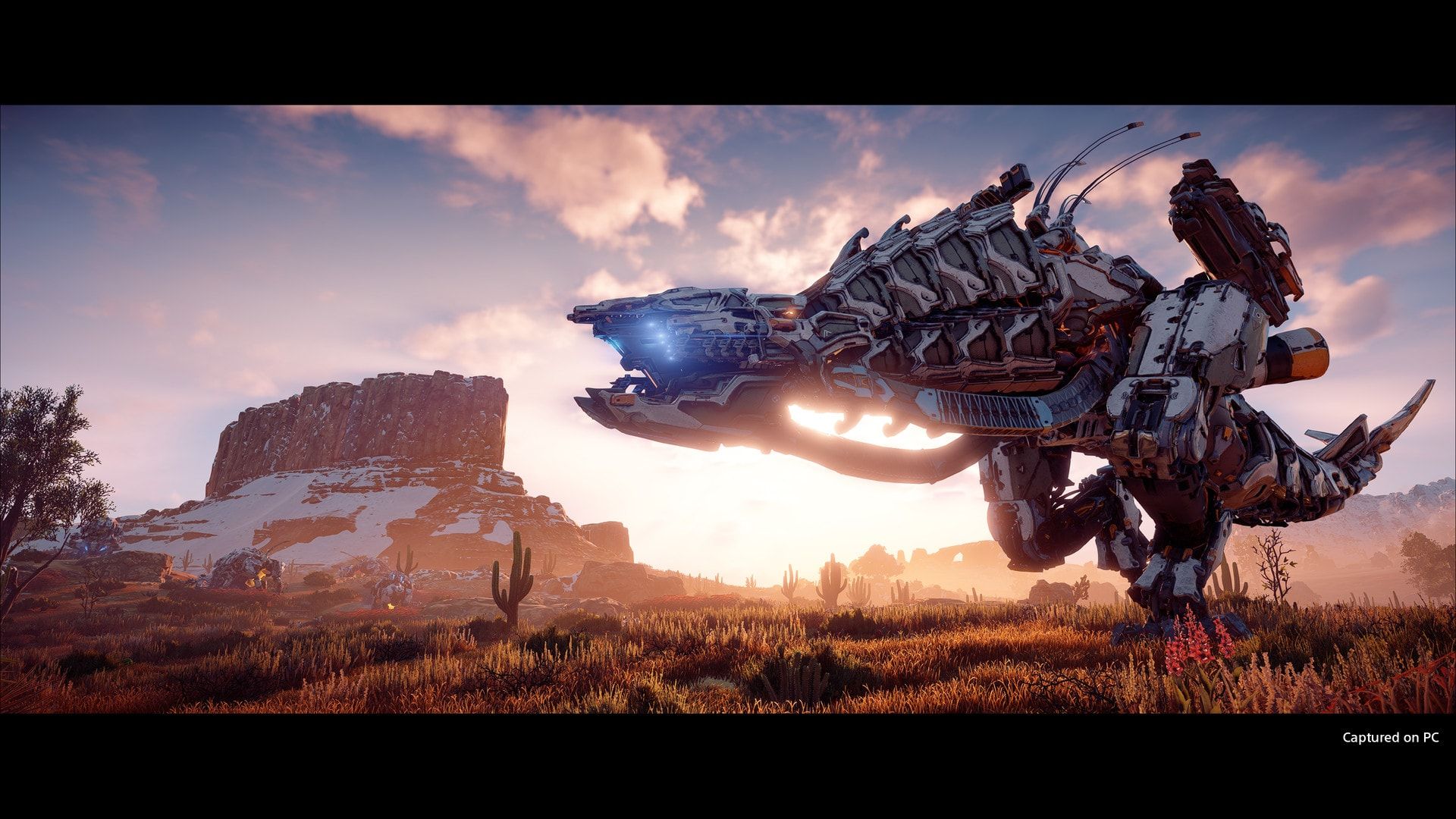 A large machine runs across an open desert under a sunset sky.
