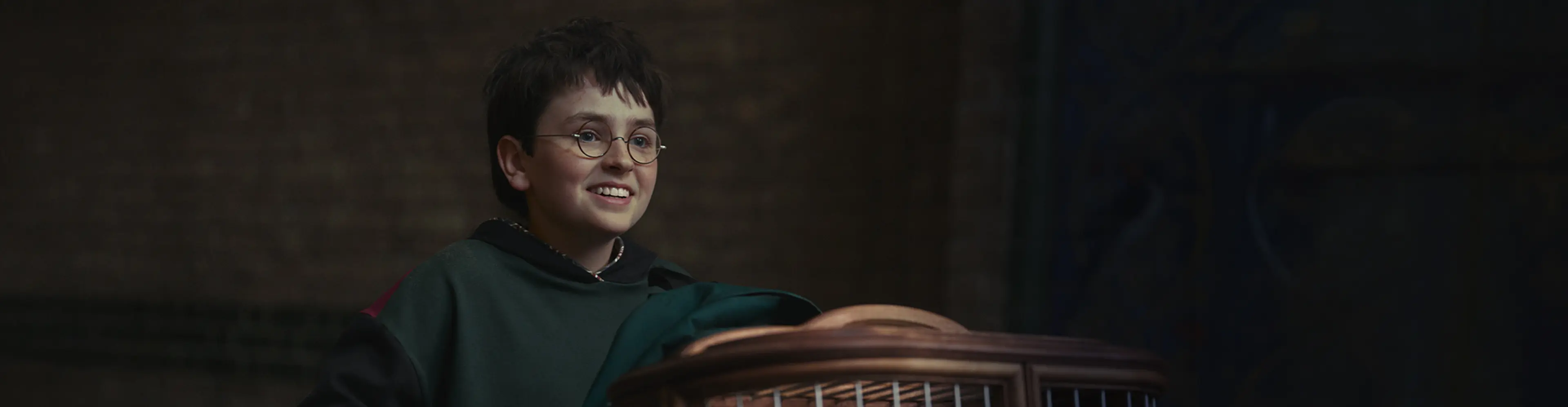 Harry Potter HBO Series: Release Date, Cast, Episodes, and What We Know