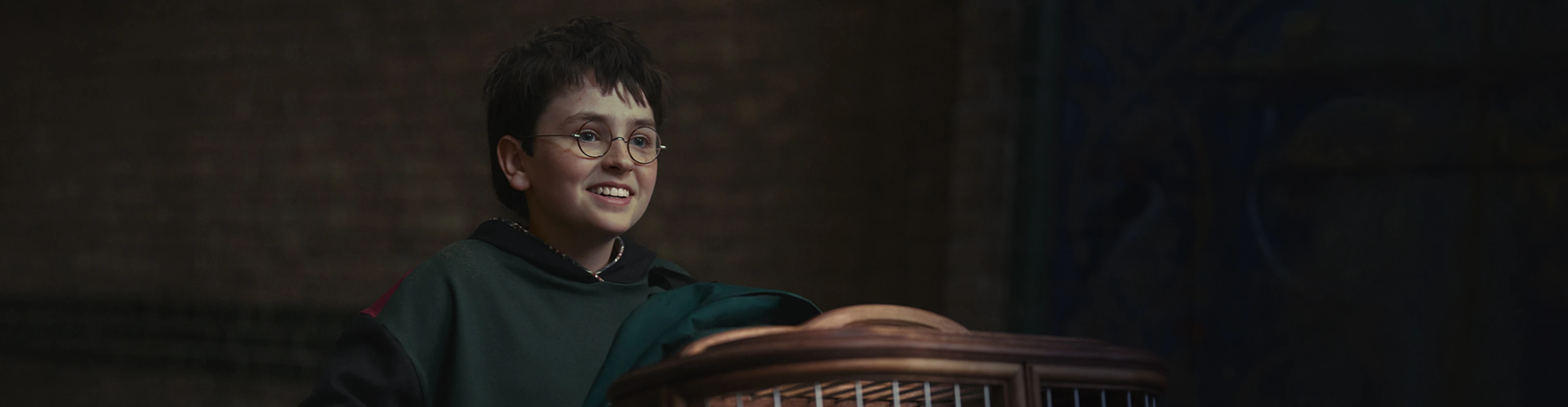 Dominic McLaughlin as Harry Potter in the HBO series teaser.