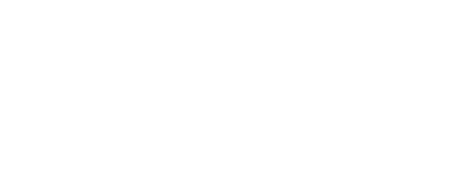 Disney Princess