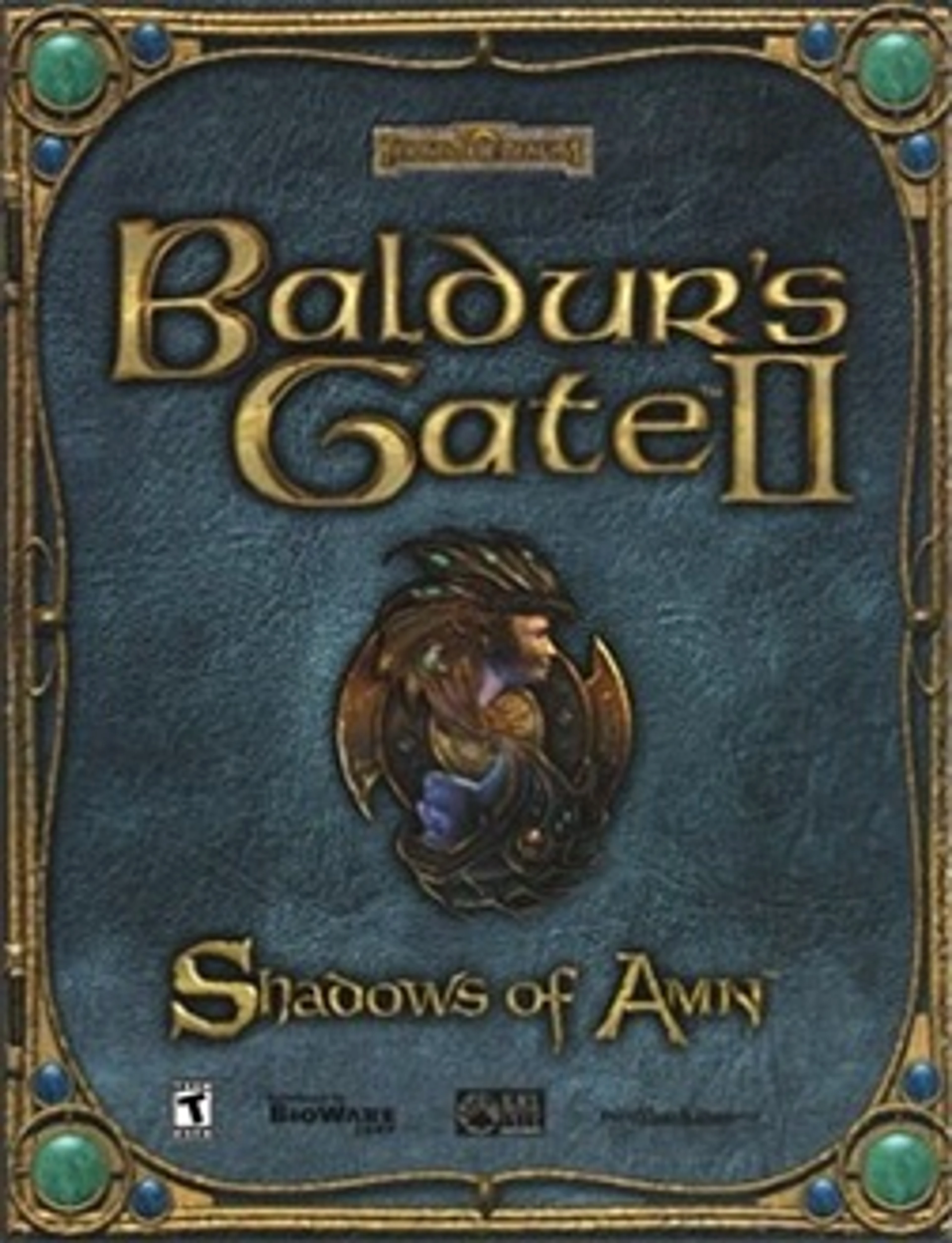 Original cover art for Baldur's Gate II: Shadows of Amn.