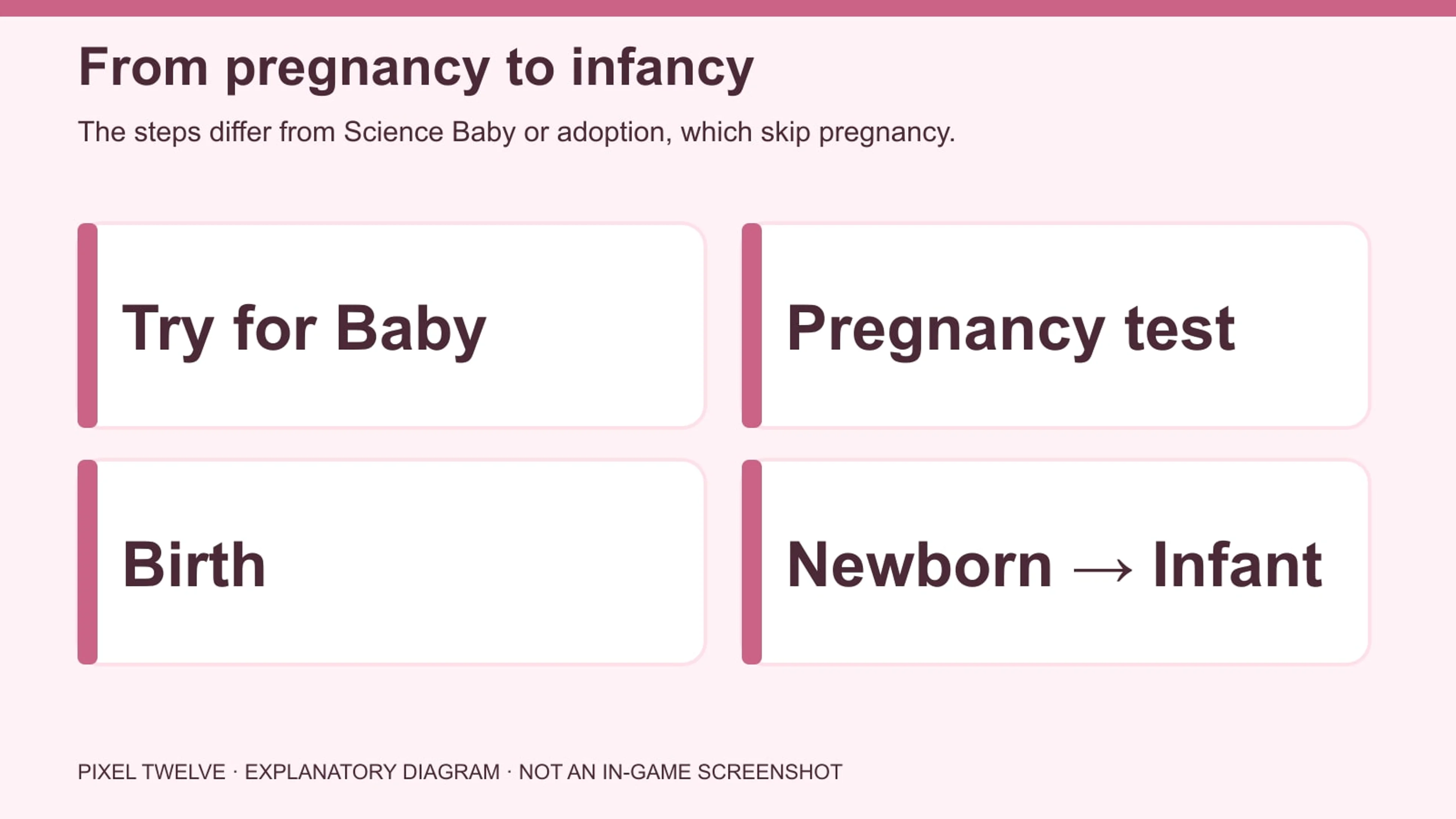 Diagram showing Try for Baby, optional toilet pregnancy test, birth and newborn to infant progression.