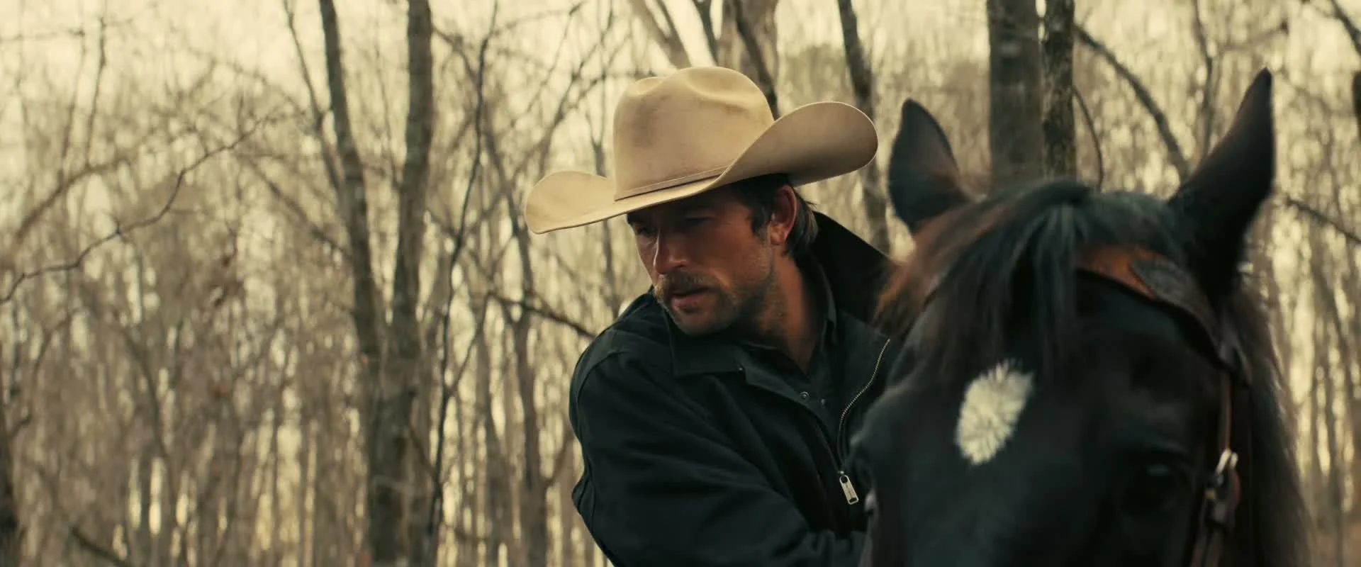 The cowboy rides through the woods on horseback.