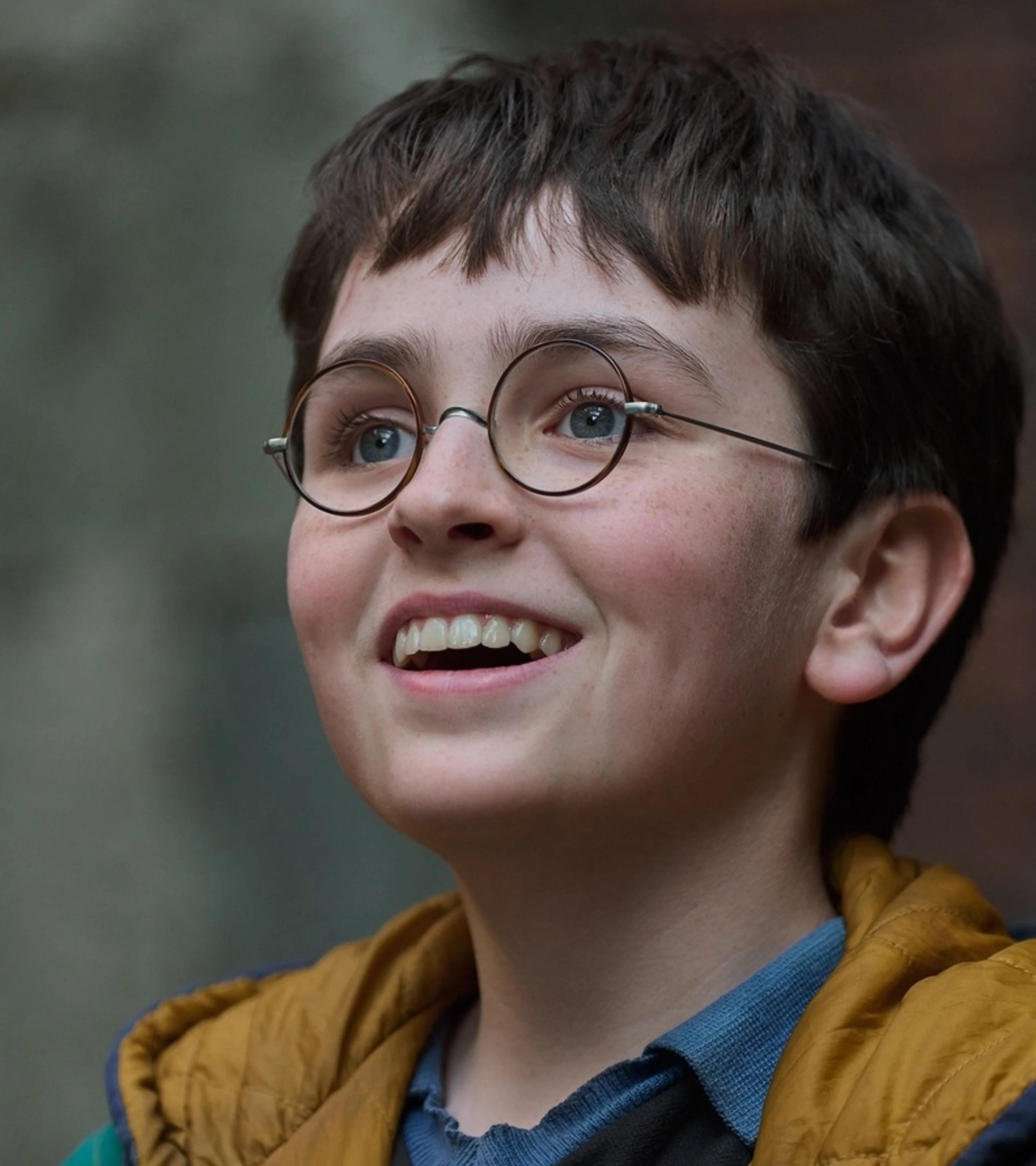 Harry Potter (HBO Series)