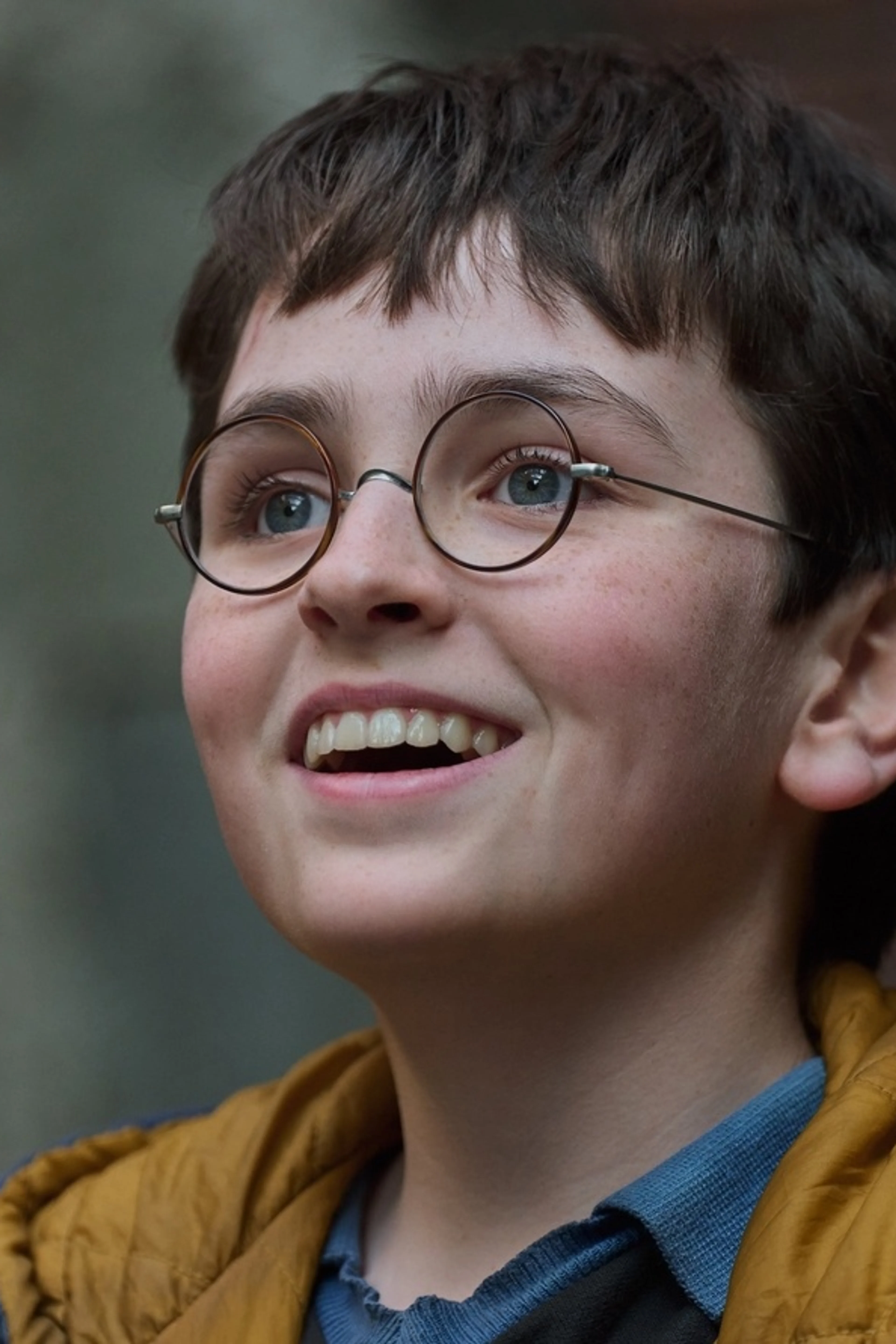 Harry Potter (HBO Series)