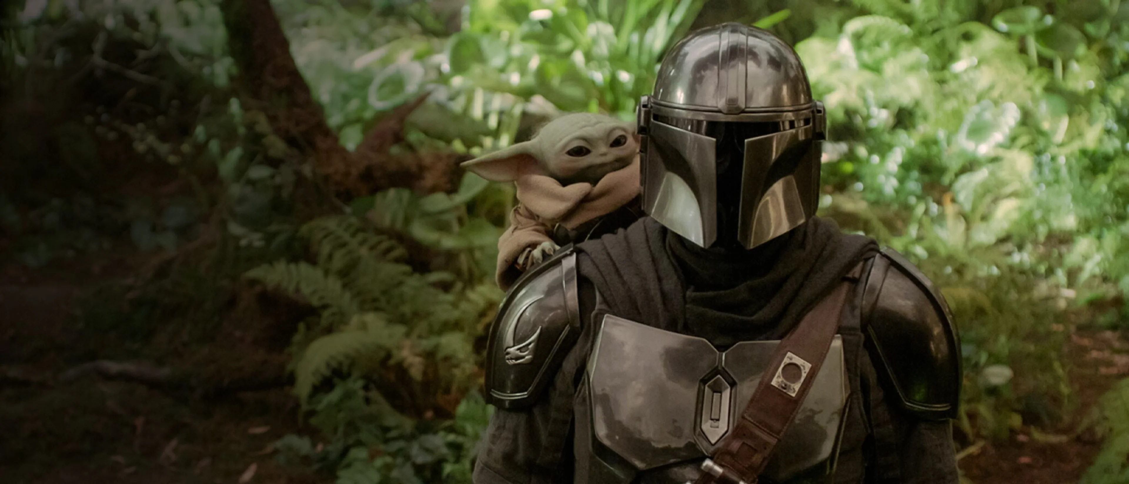 Din Djarin carries Grogu through a bright forest in official The Mandalorian and Grogu imagery.