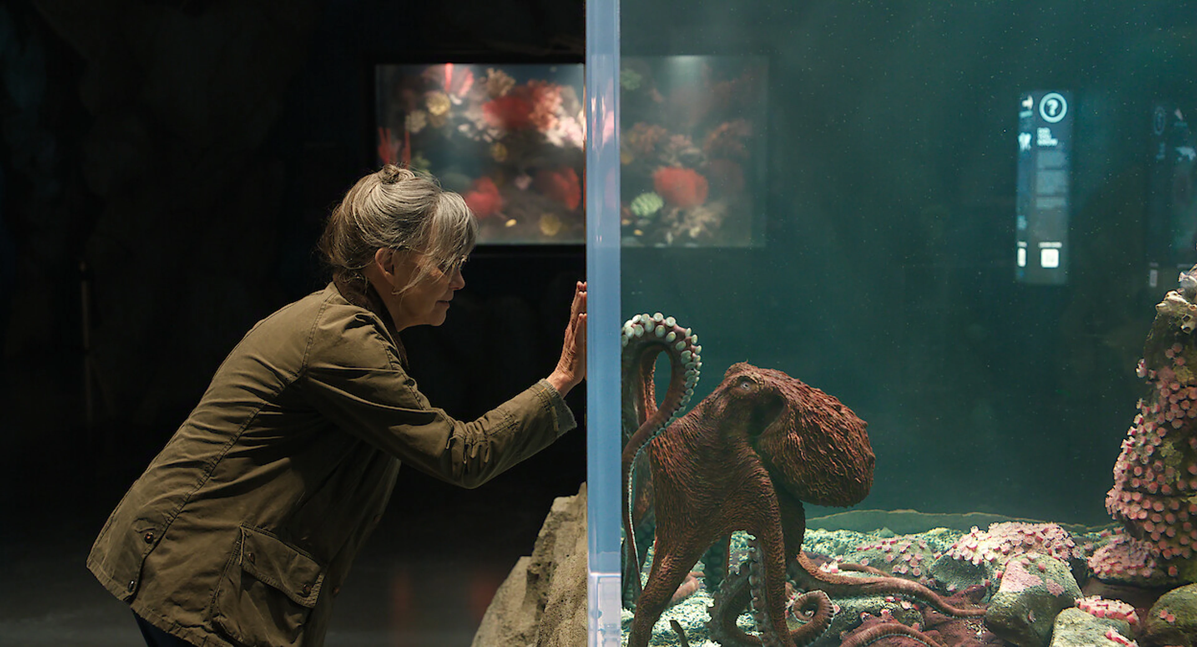 Sally Field as Tova reaches toward Marcellus through the aquarium glass in Remarkably Bright Creatures.