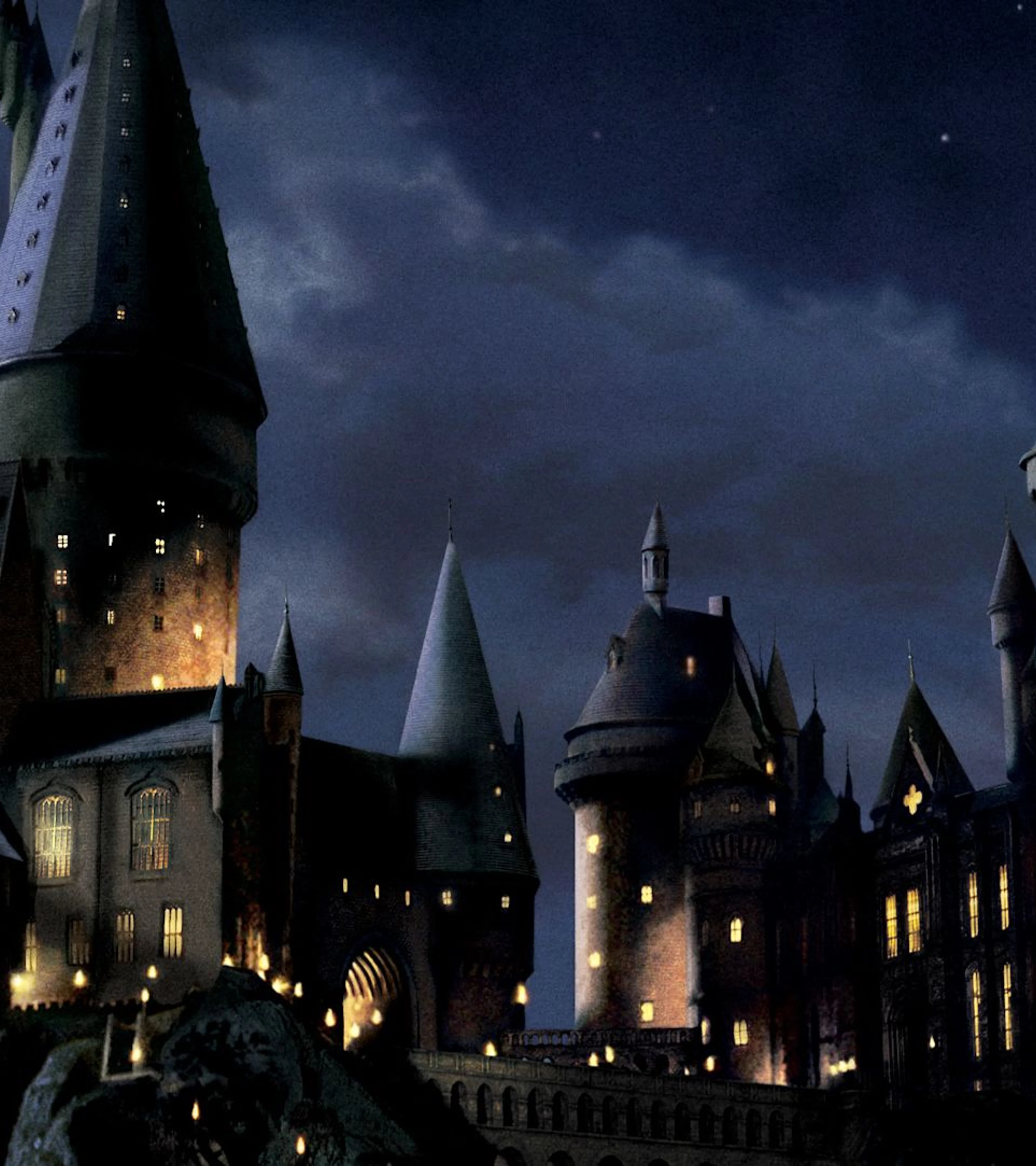 Harry Potter (HBO Series)