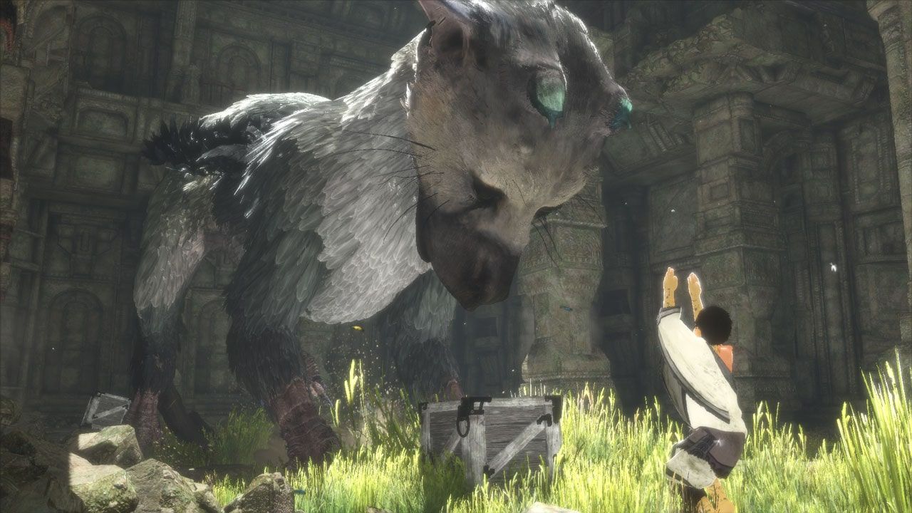 Trico looking down at the boy, whose arms are raised near a small crate.