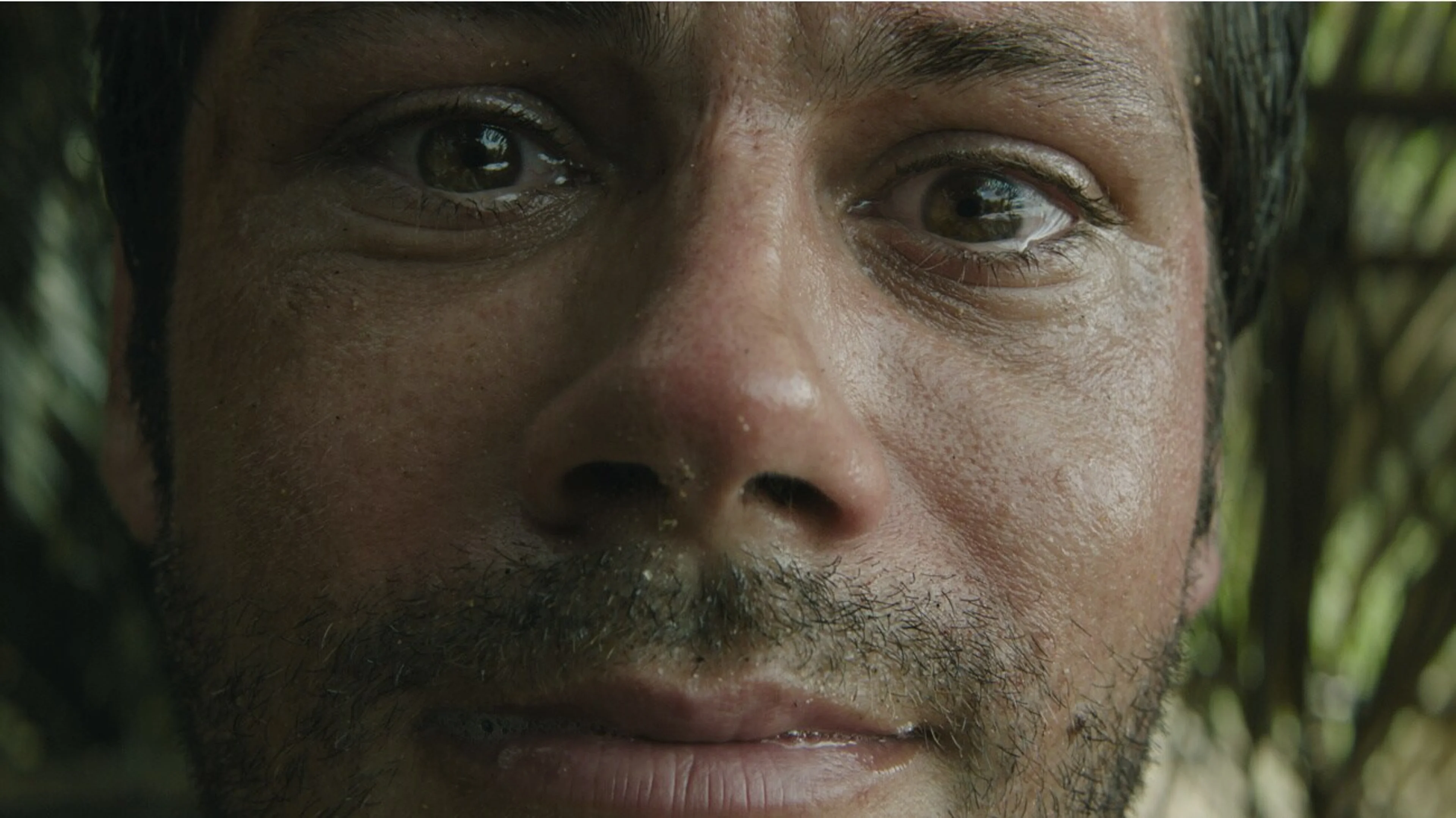 A close-up of Bradley looking frightened beneath palm leaves.