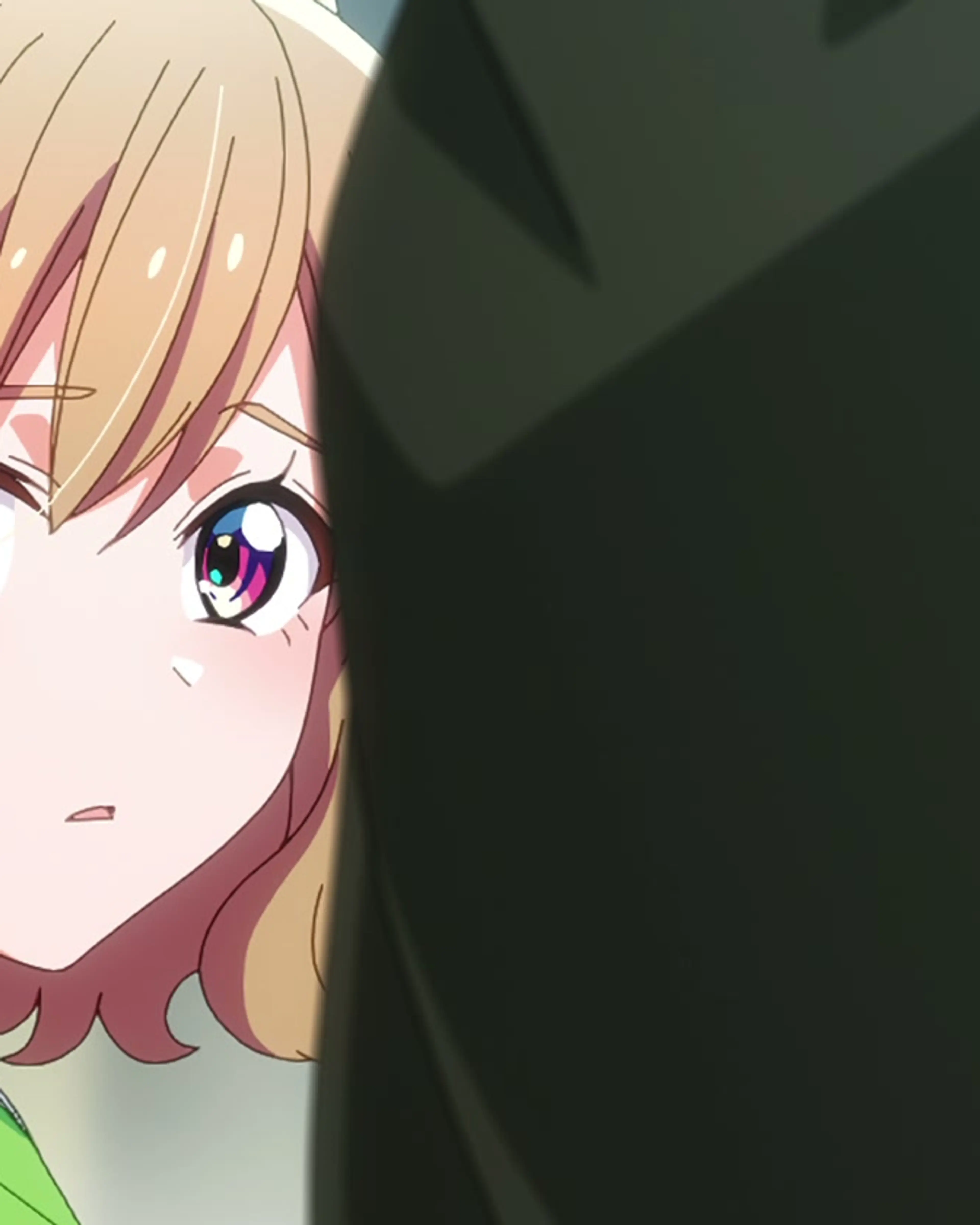 Hazuki Ichise in Bride of the Barrier Master.