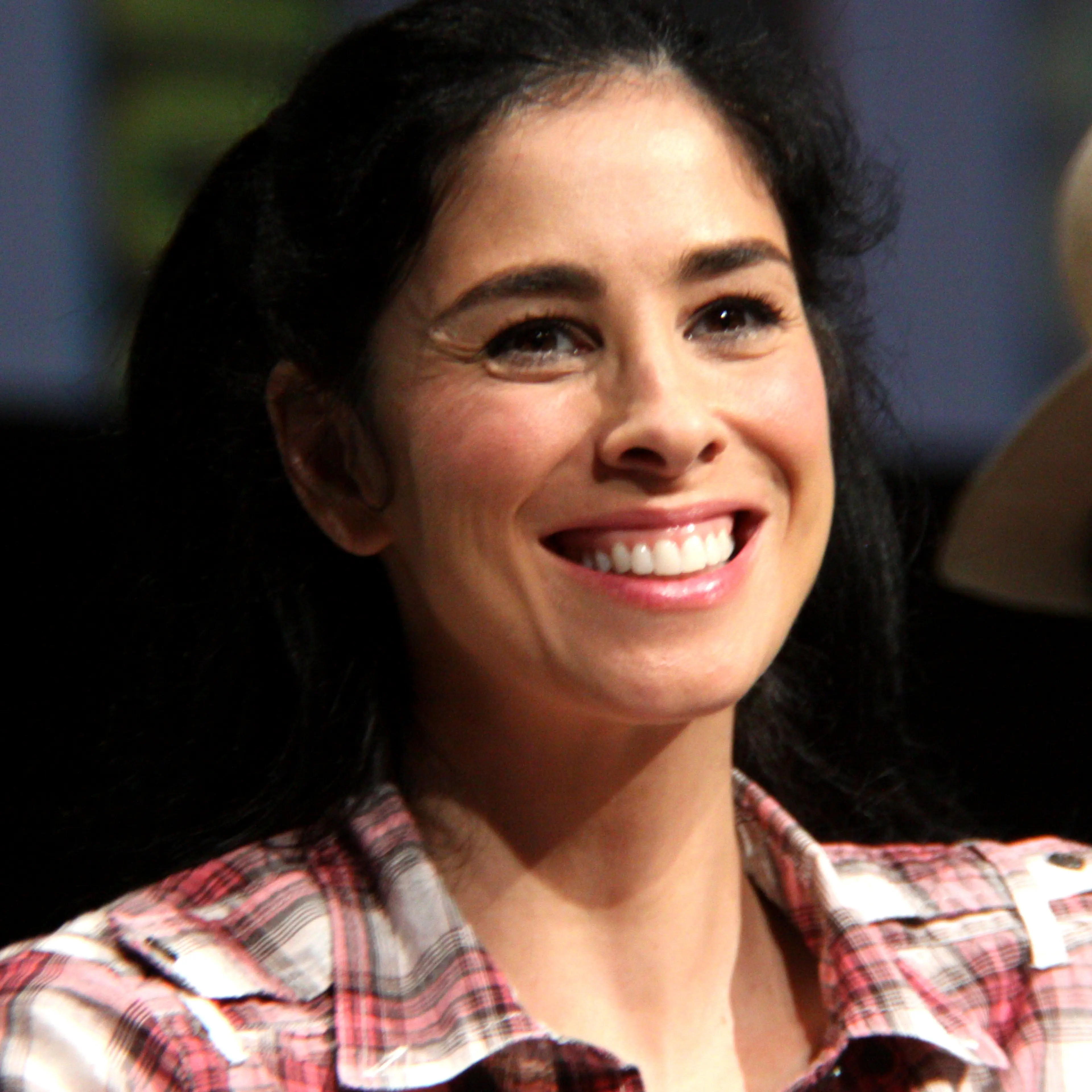 Sarah Silverman smiles at San Diego Comic-Con in 2012.