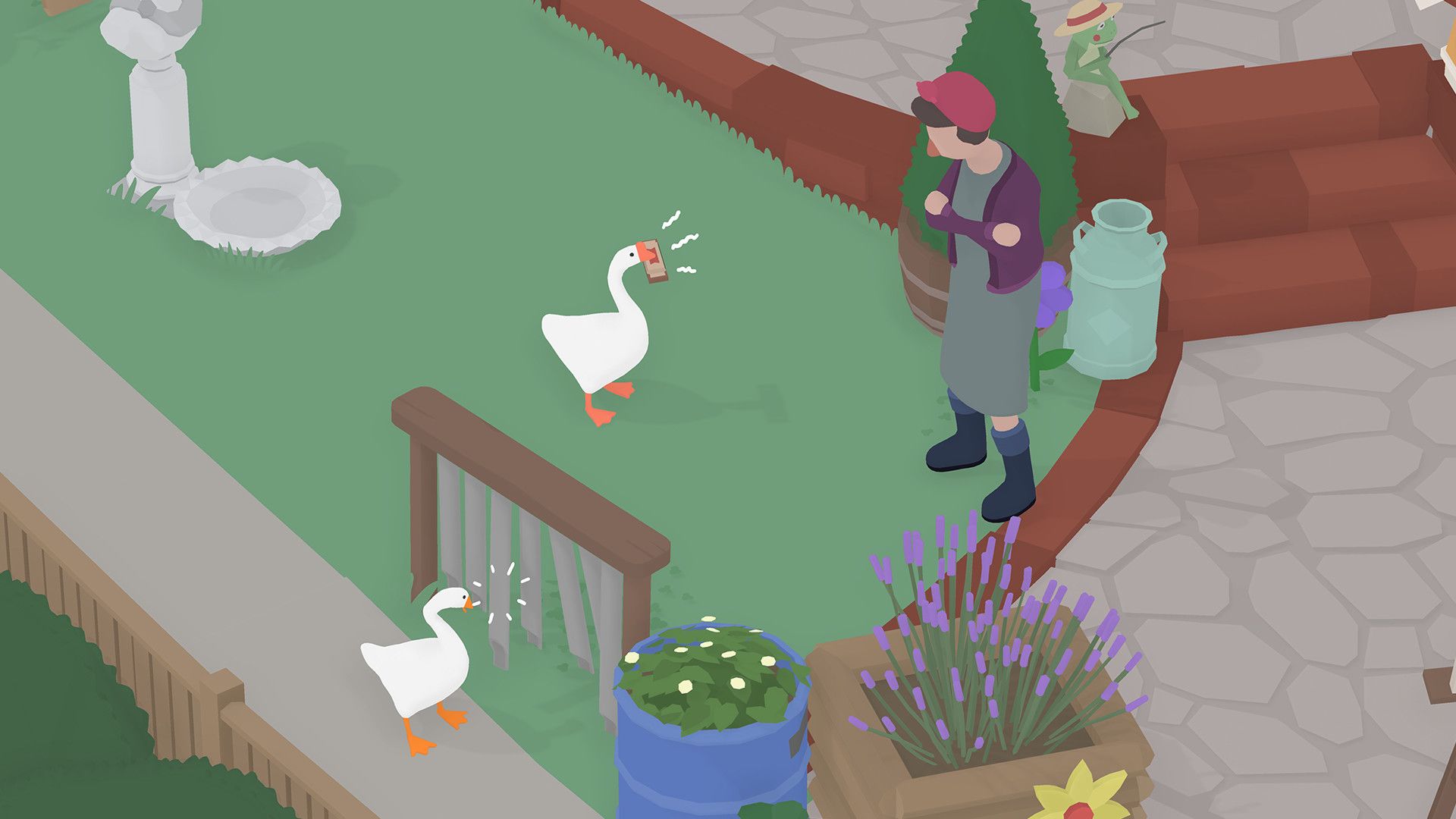 Two white geese cause trouble near a woman in a village garden.