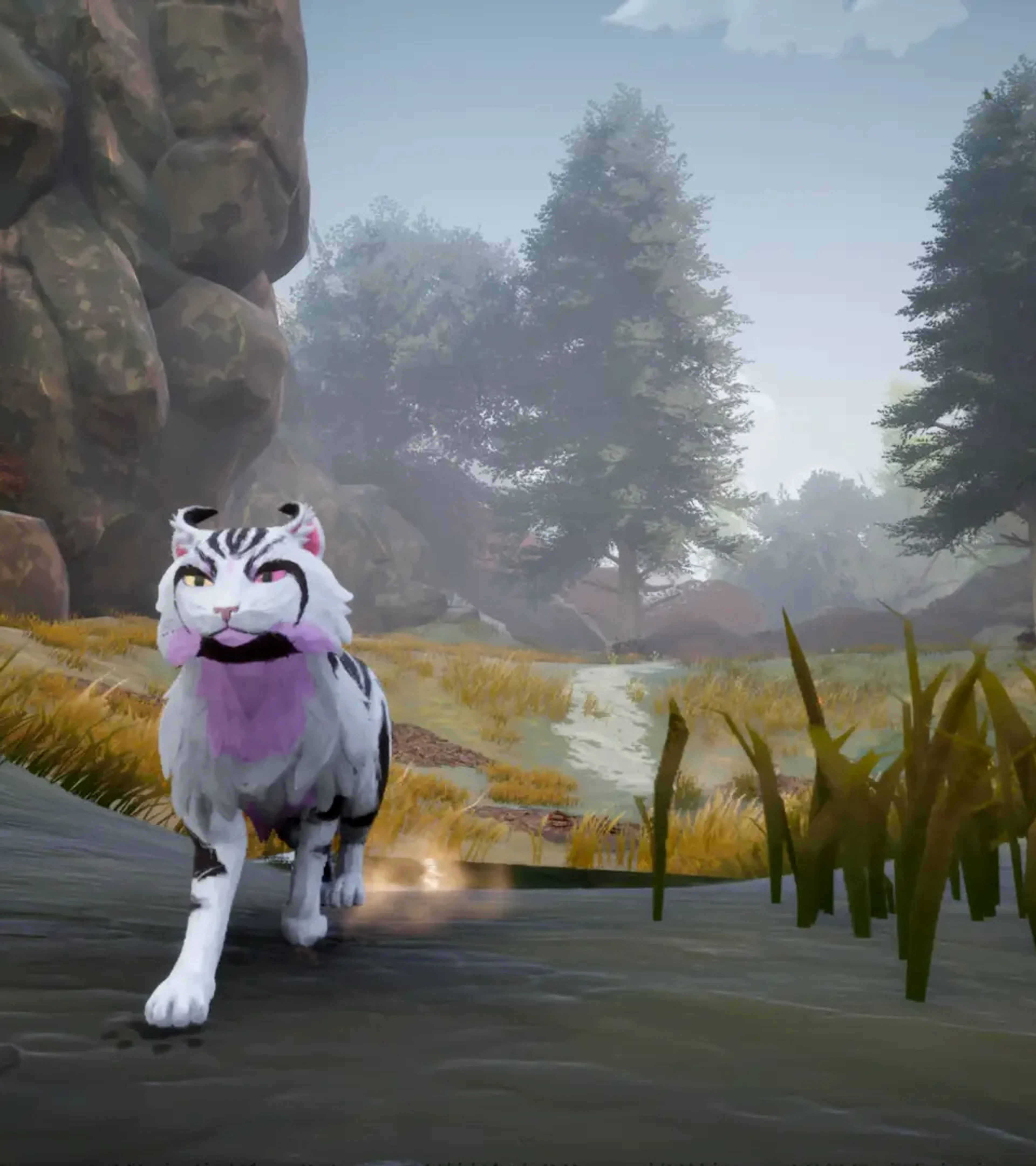 Warrior Cats: Clans of the Forest