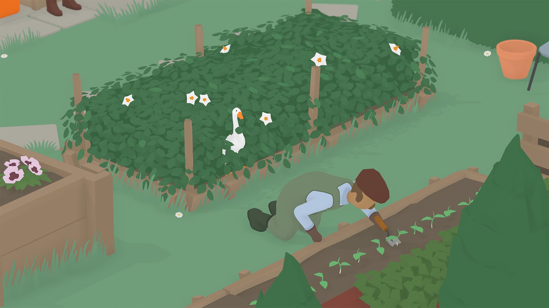 The goose hides inside a thick hedge while the gardener crawls nearby.