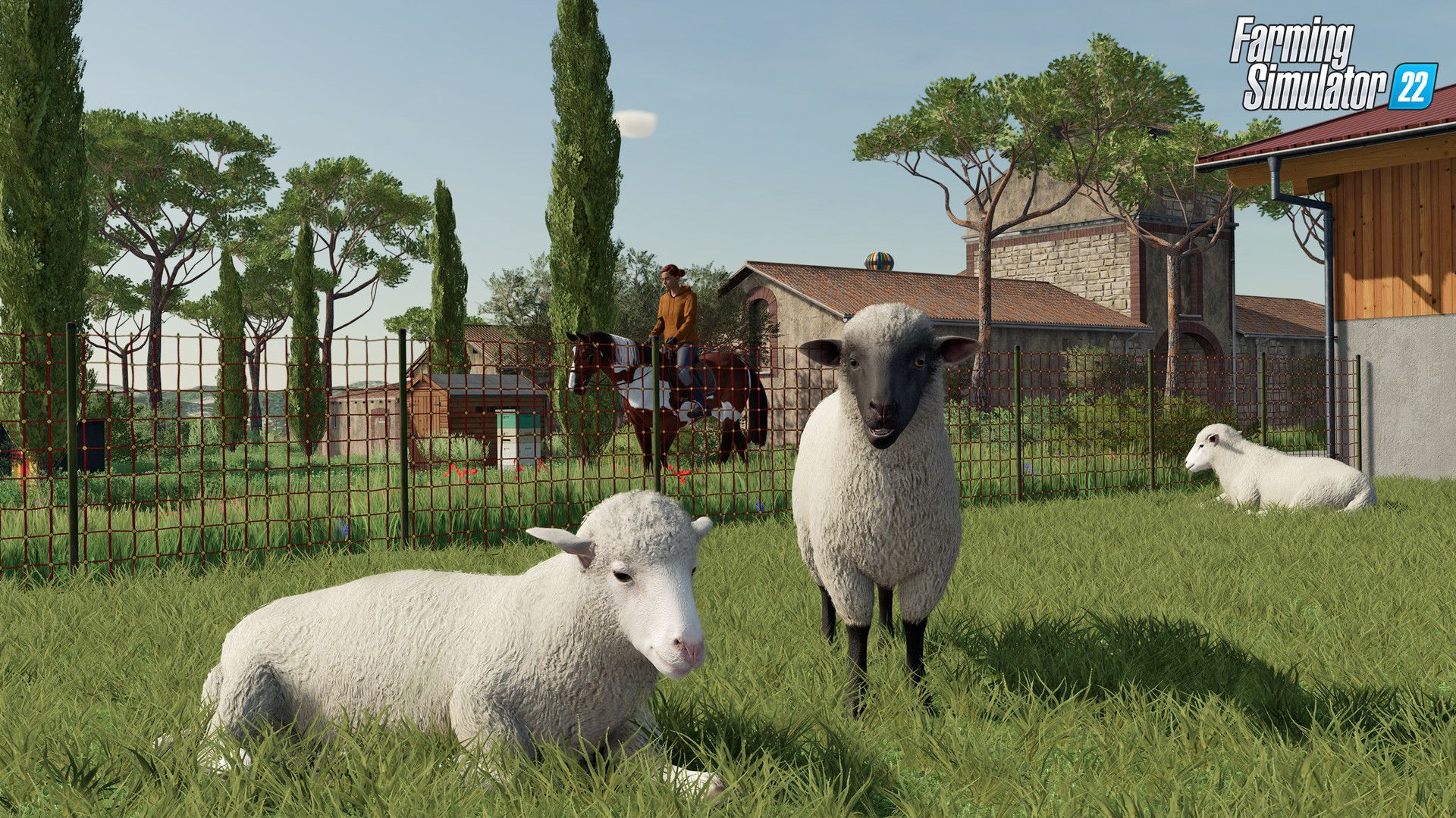 Sheep stand in a fenced pasture beside farm buildings, showing animal farming.