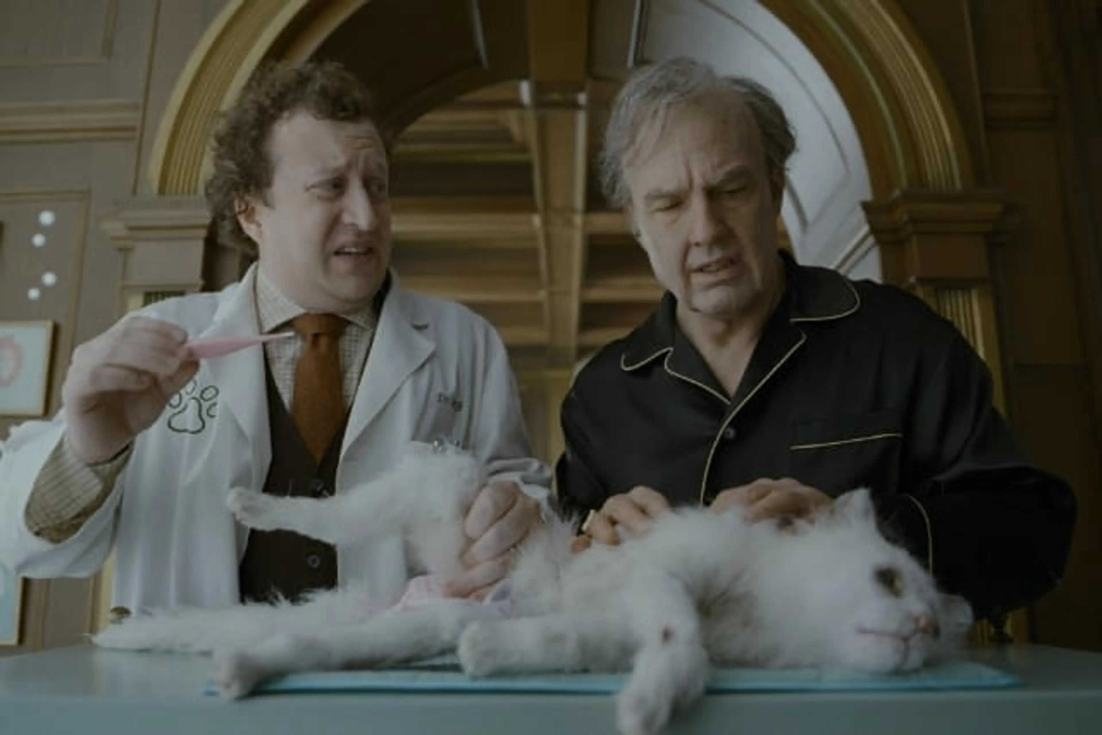 Tom Cruise and a veterinarian stand beside a white cat lying on a table in Digger.