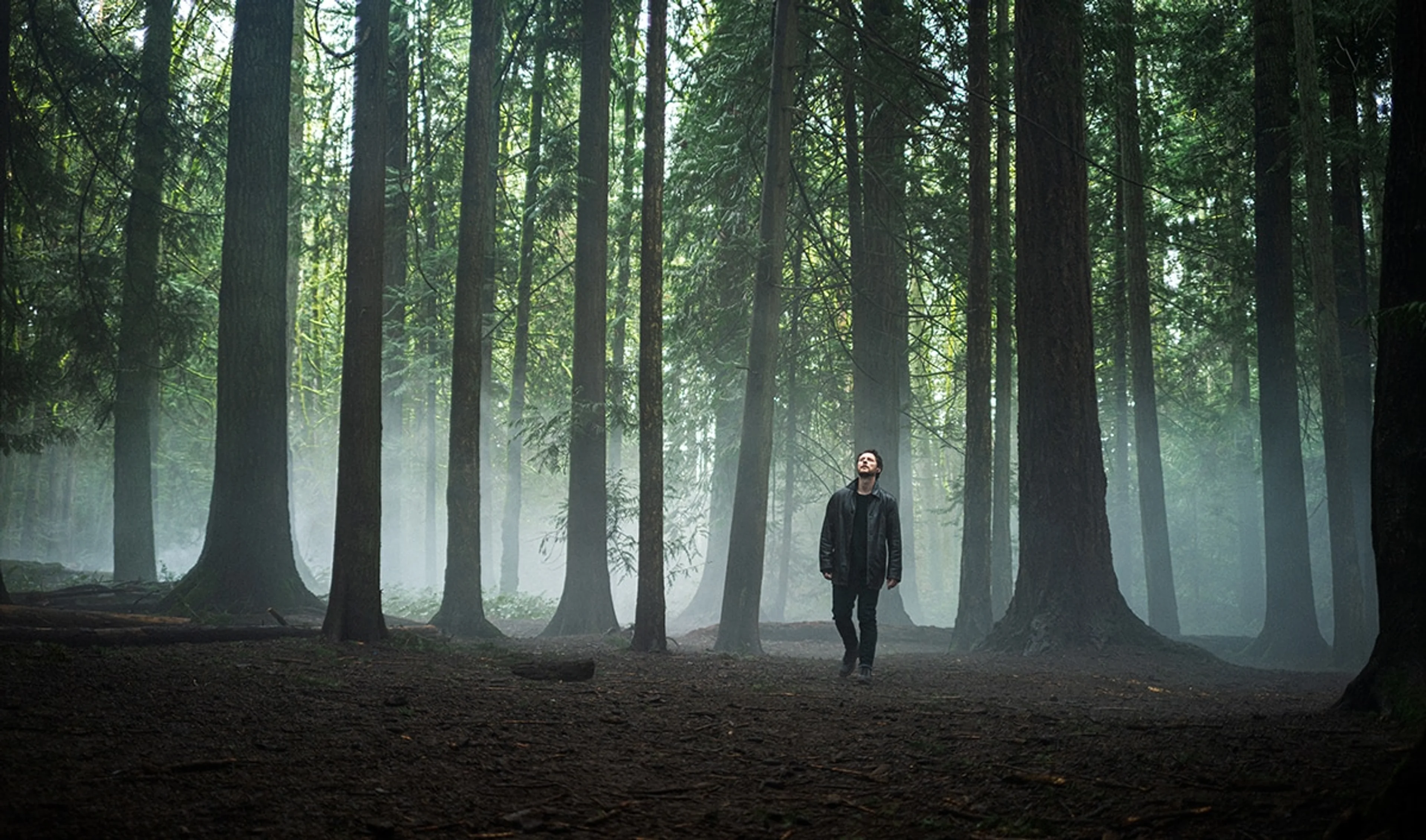 Noah Reid as private investigator Rapp stands in a wooded setting.