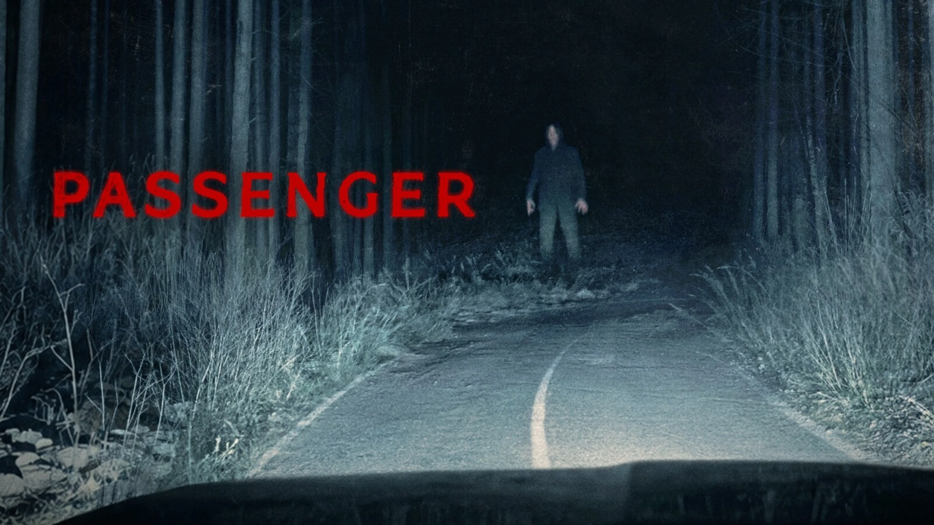 A figure stands on a dark forest road in Passenger artwork.