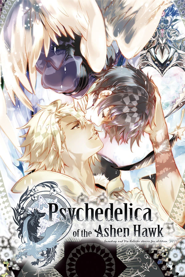 Official Psychedelica of the Ashen Hawk cover with its fantasy characters and title.