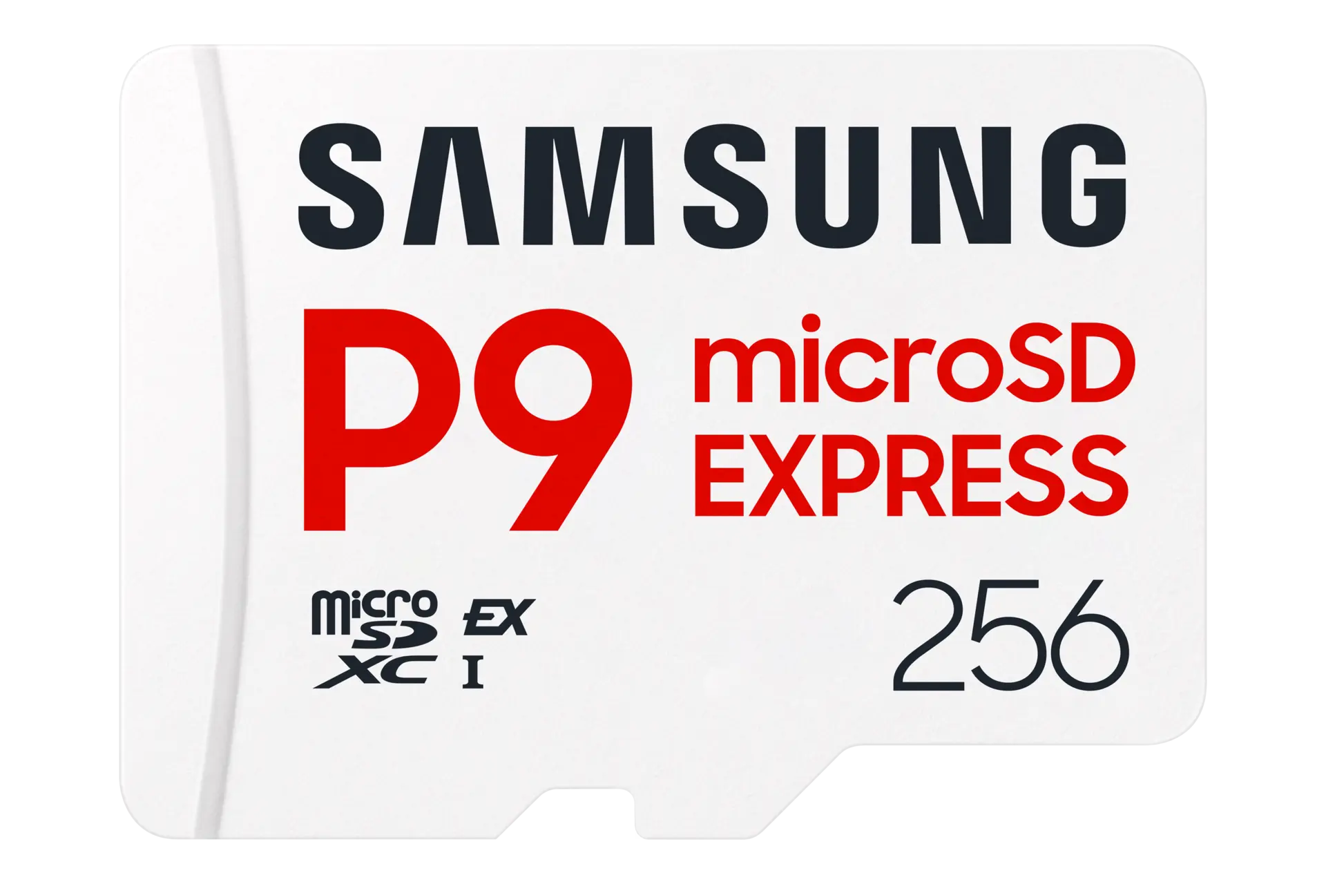 Samsung P9 Express 256GB memory card