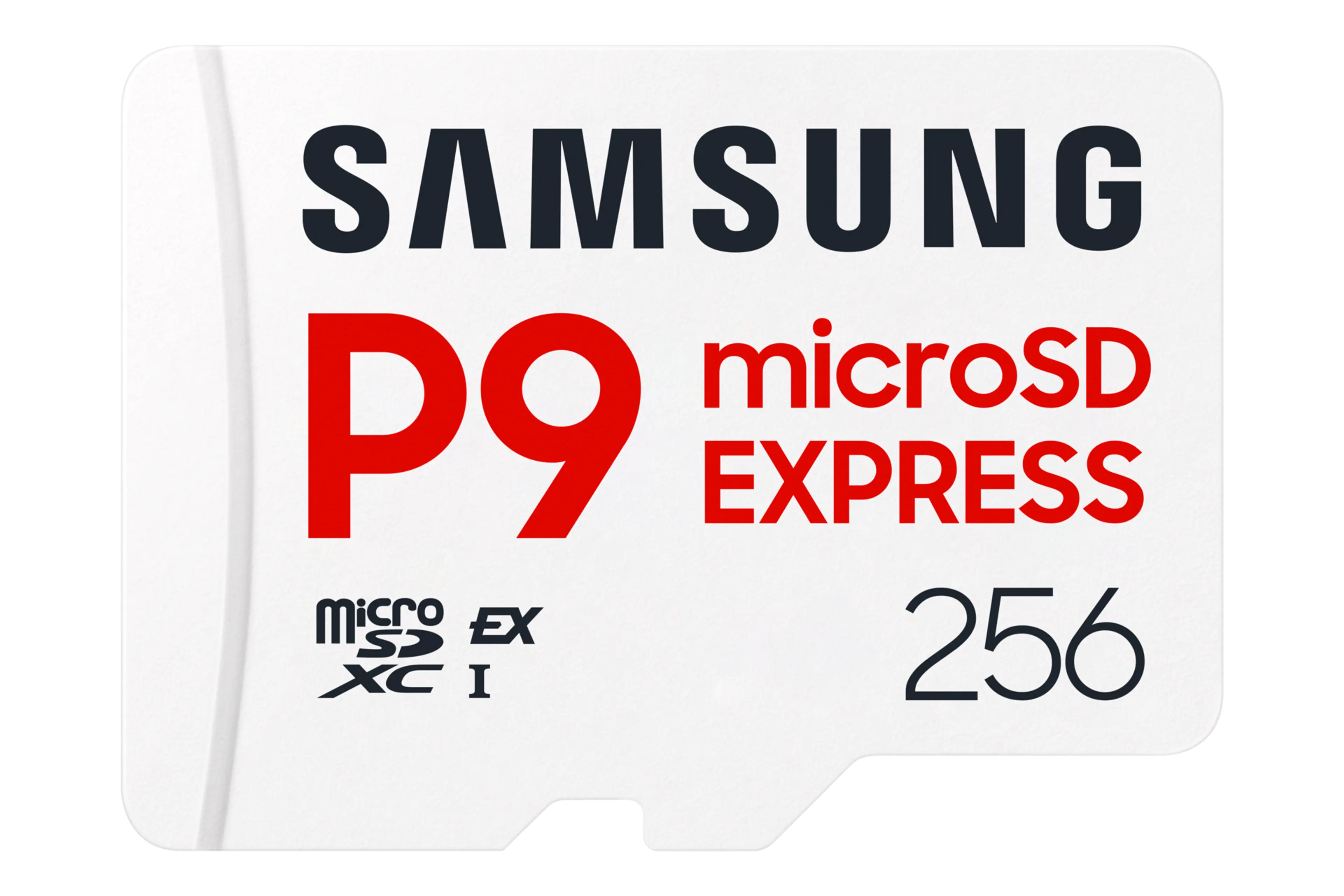 Samsung P9 Express 256GB memory card