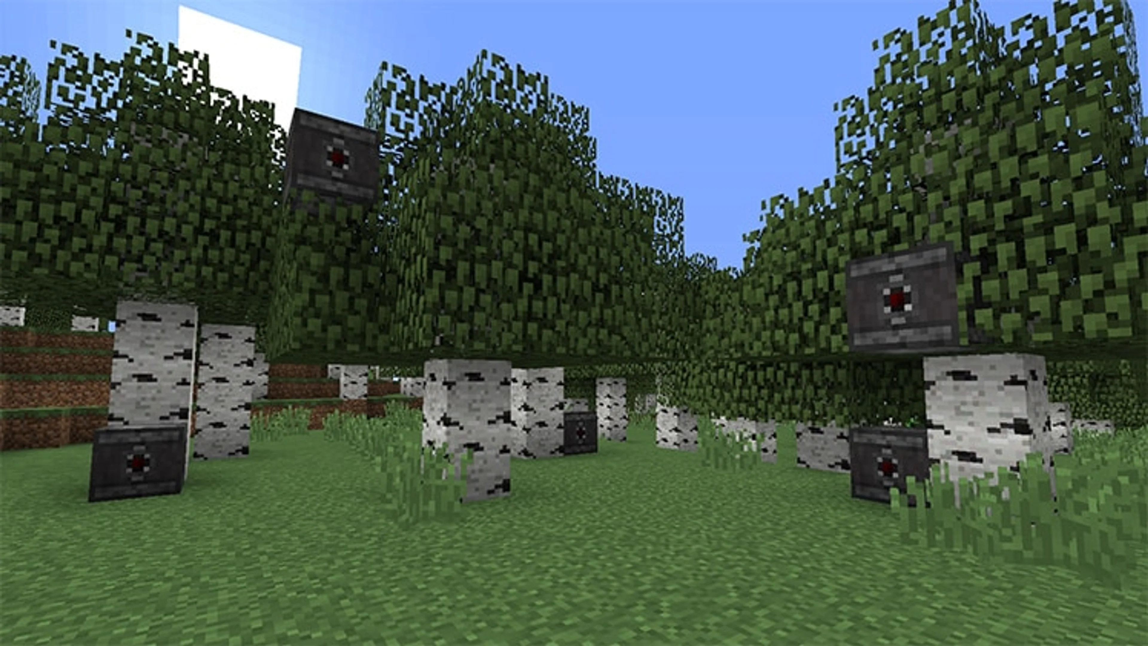 Observer blocks placed in a Minecraft landscape beside birch trees.