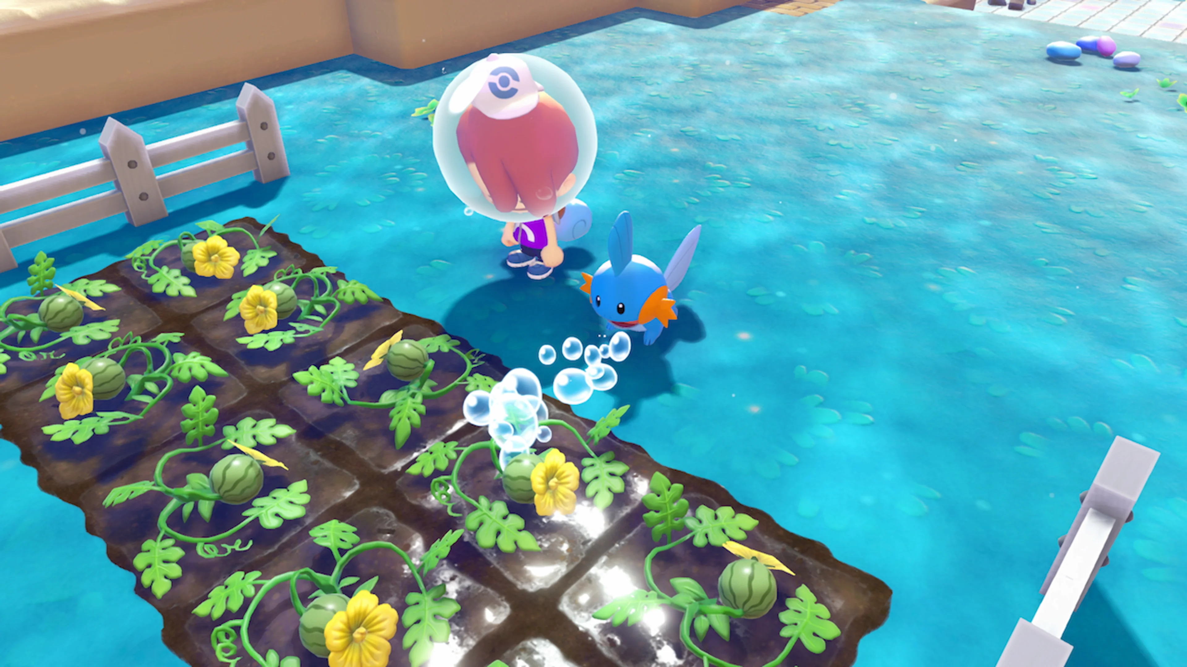 Mudkip helping Ditto grow watermelons in an underwater crop field