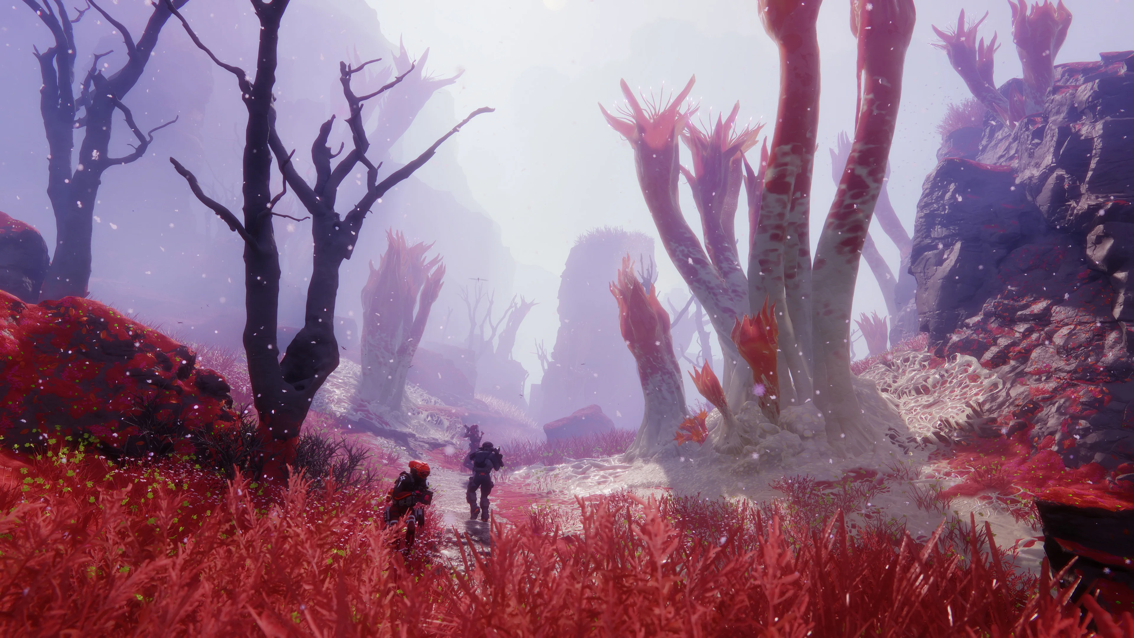 Two Marathon Runners move through red ground cover and towering pale fungal growths.