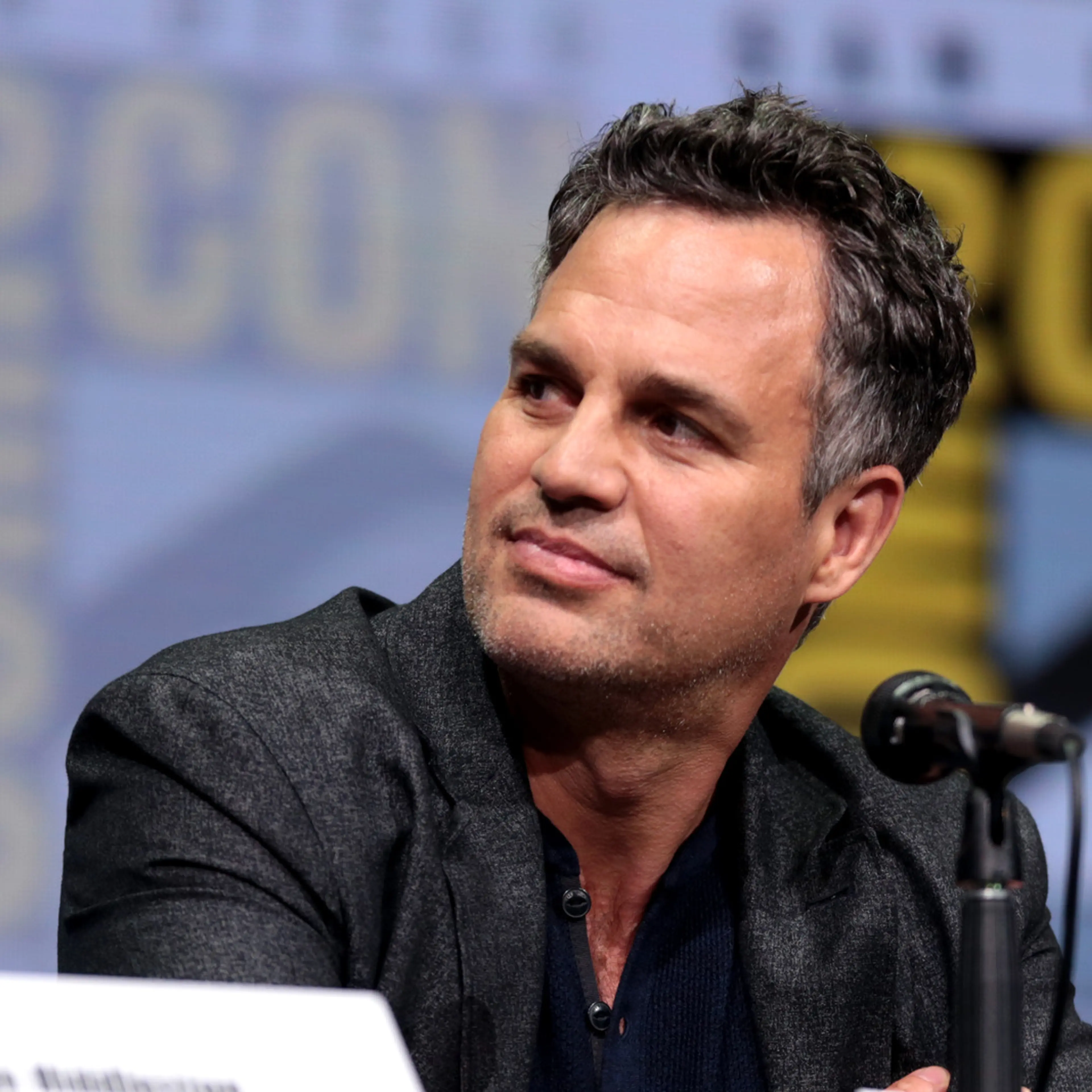 Mark Ruffalo sits behind a microphone during a San Diego Comic-Con panel in 2017.