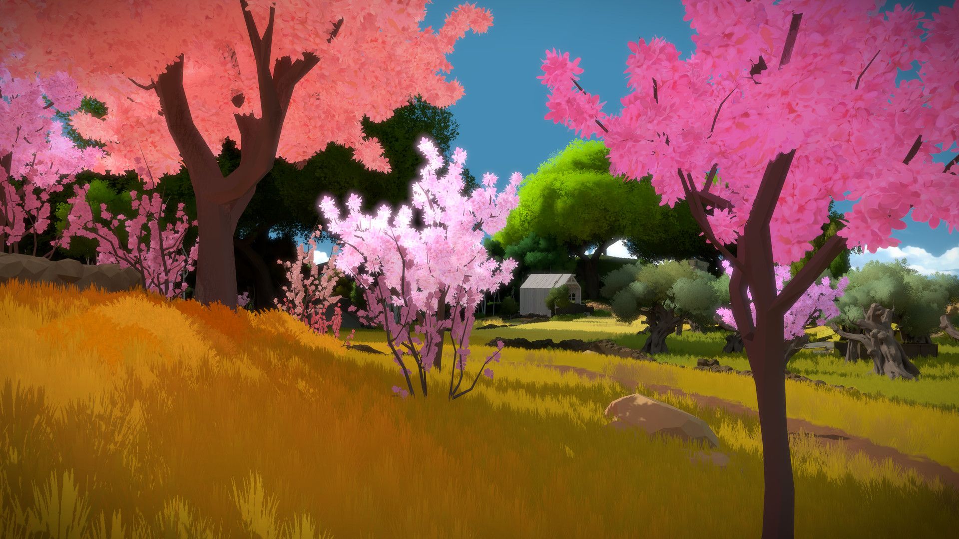 Pink flowering trees stand beside green and yellow grass.