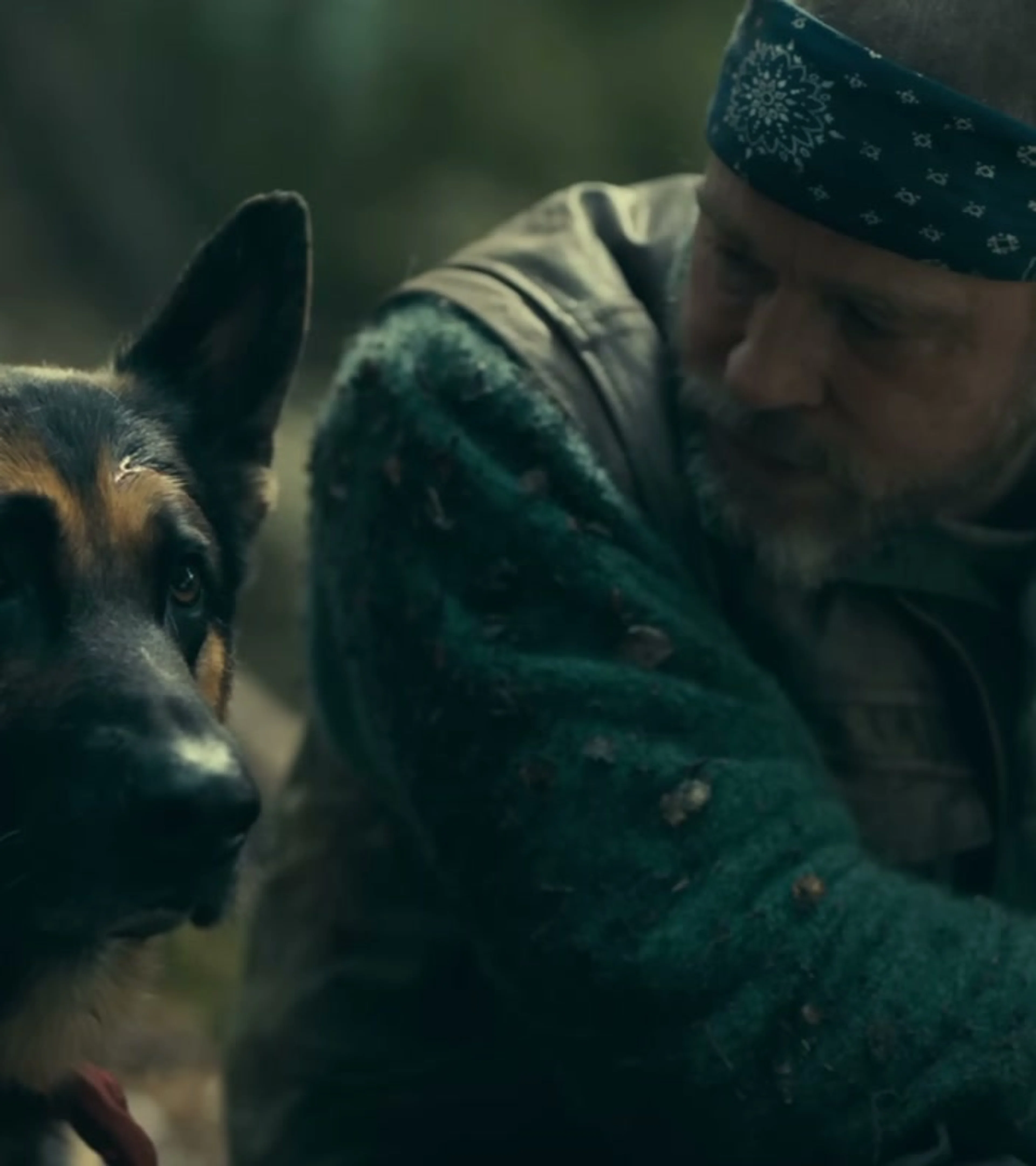 Brad Pitt as James Belmont stays close to Odin in the wilderness in Heart of the Beast.