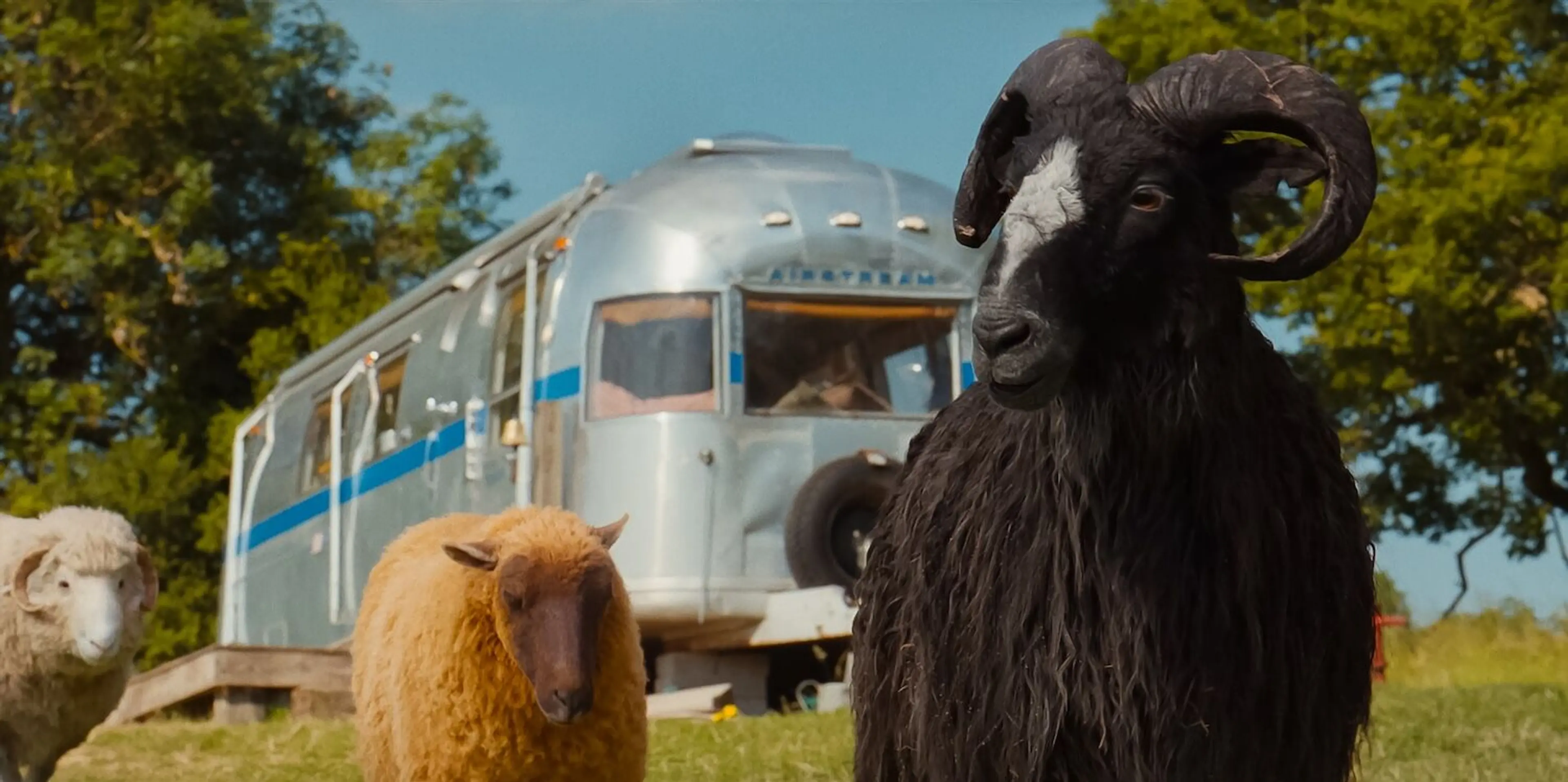 A black ram stands in front of Lily and Mopple near the caravan.